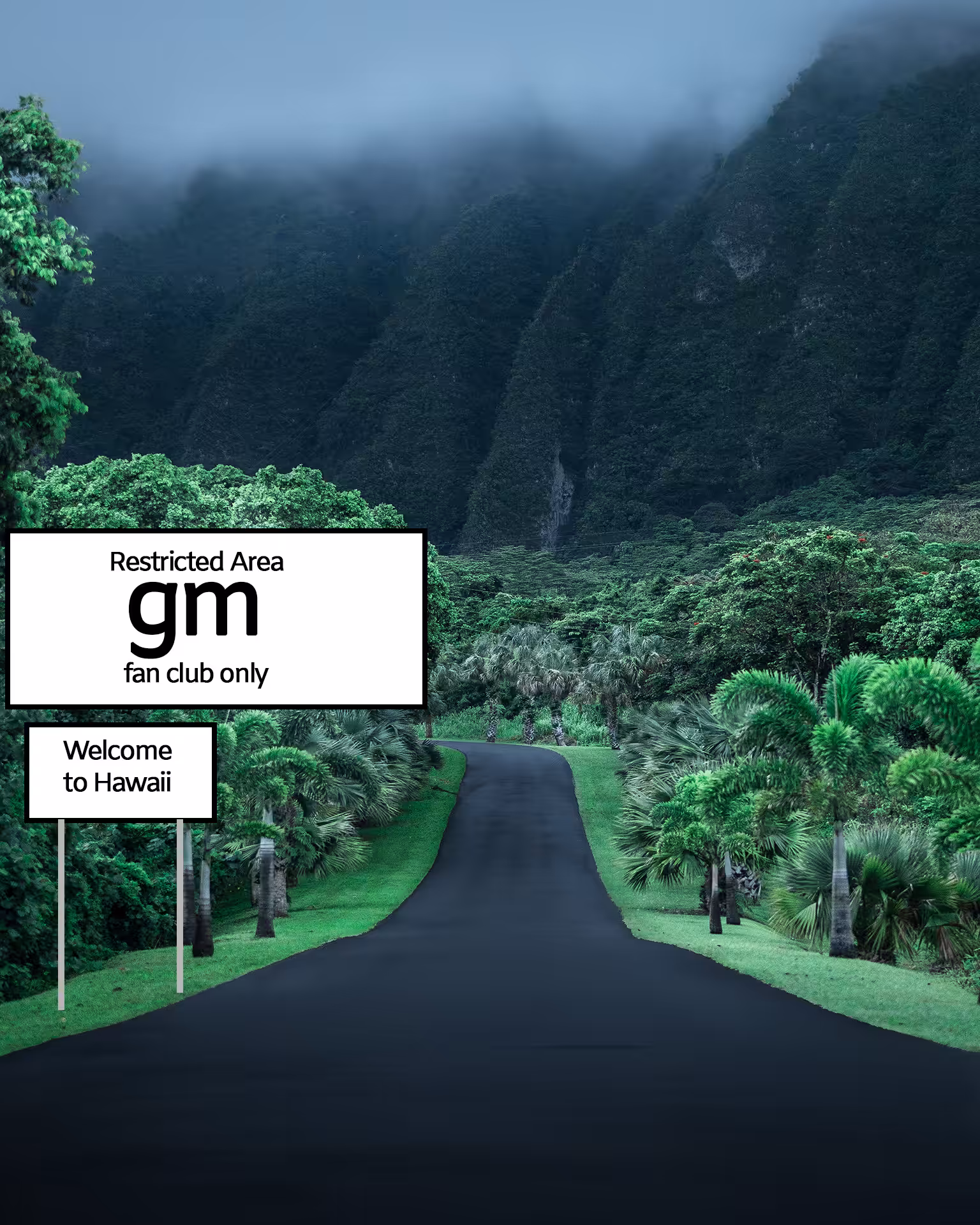 gm only