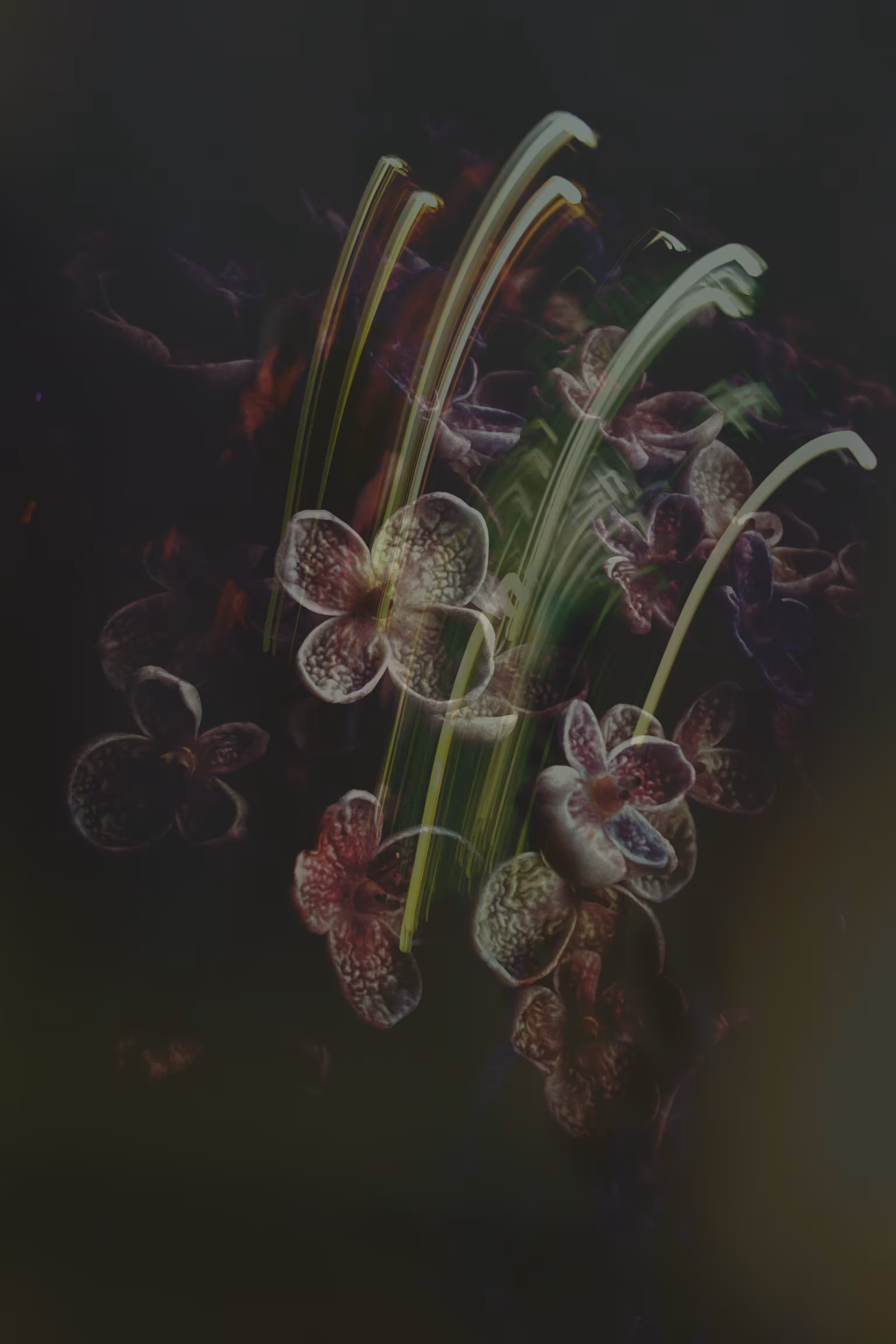 Beauty in the Broken Glass 
