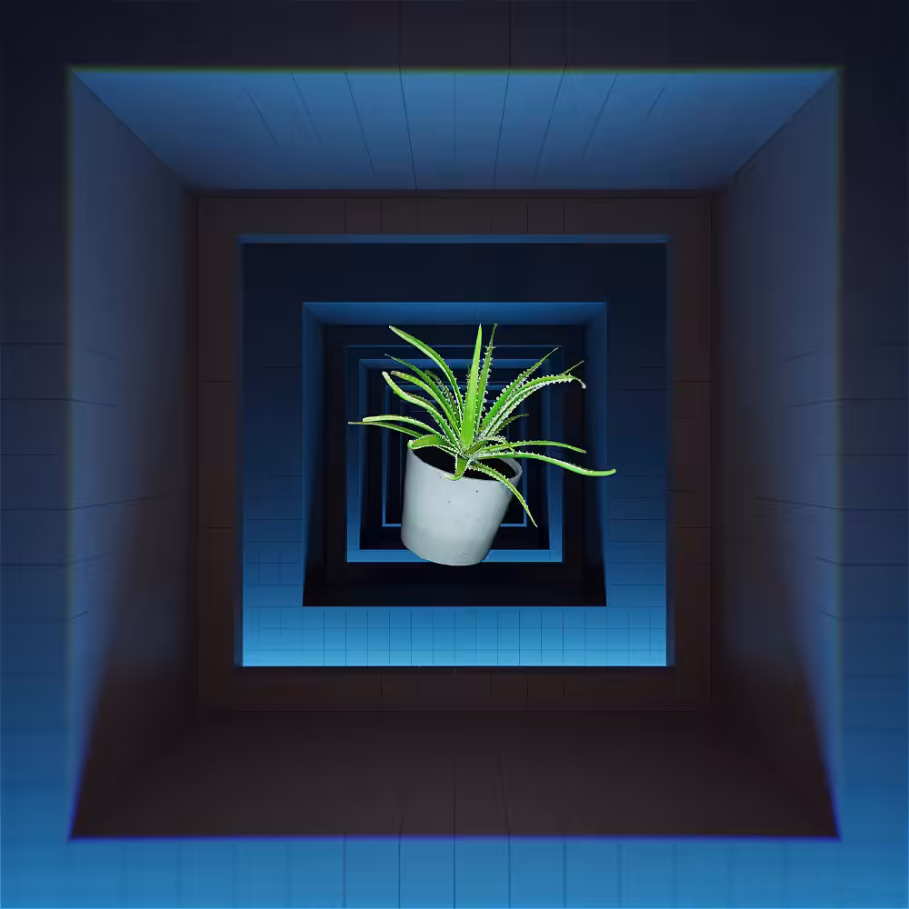 window eternity