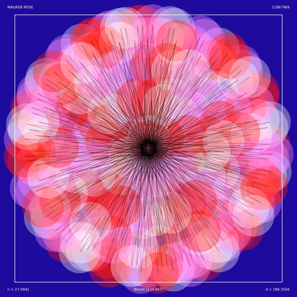 Bloom