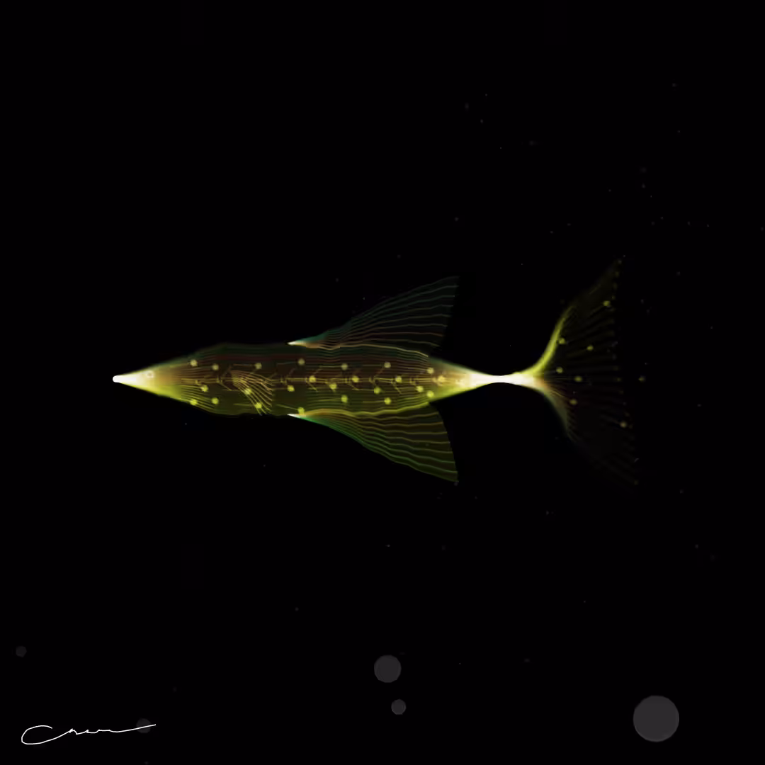 SoulFish #73