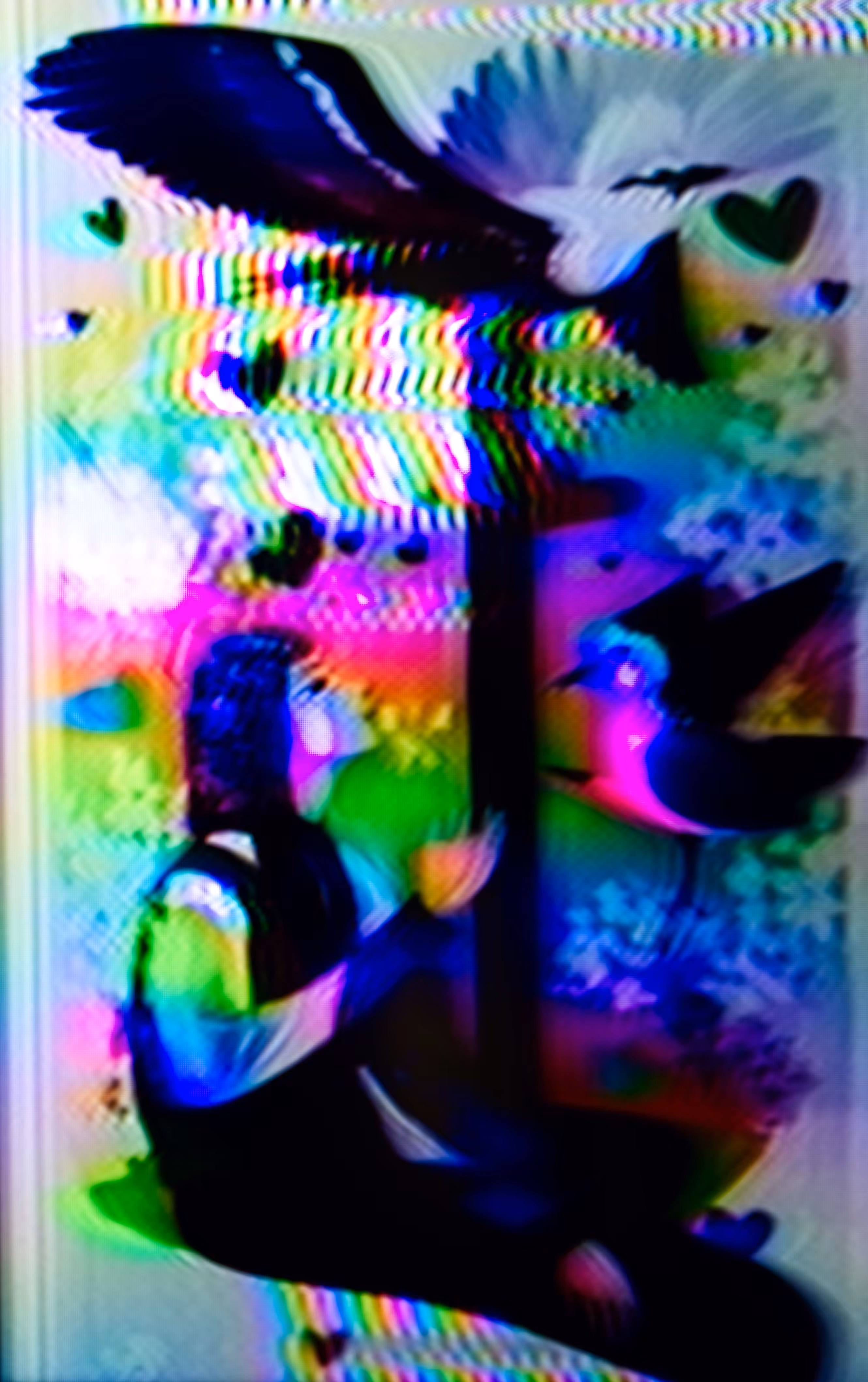 Rainbow Rendezvous