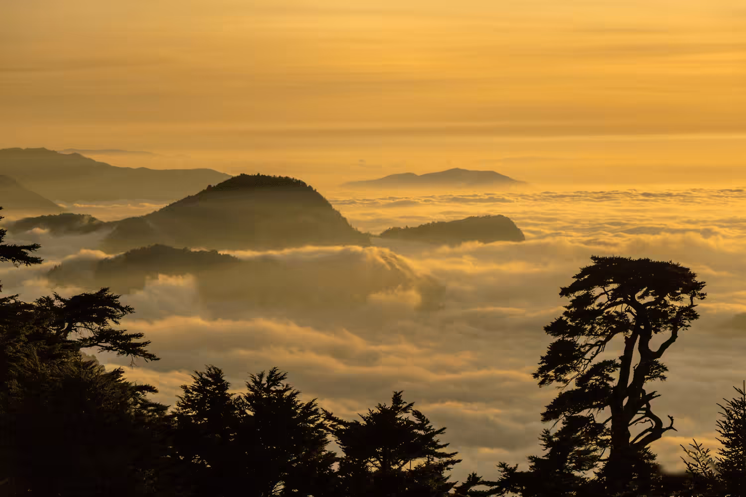 Above the Cloudz