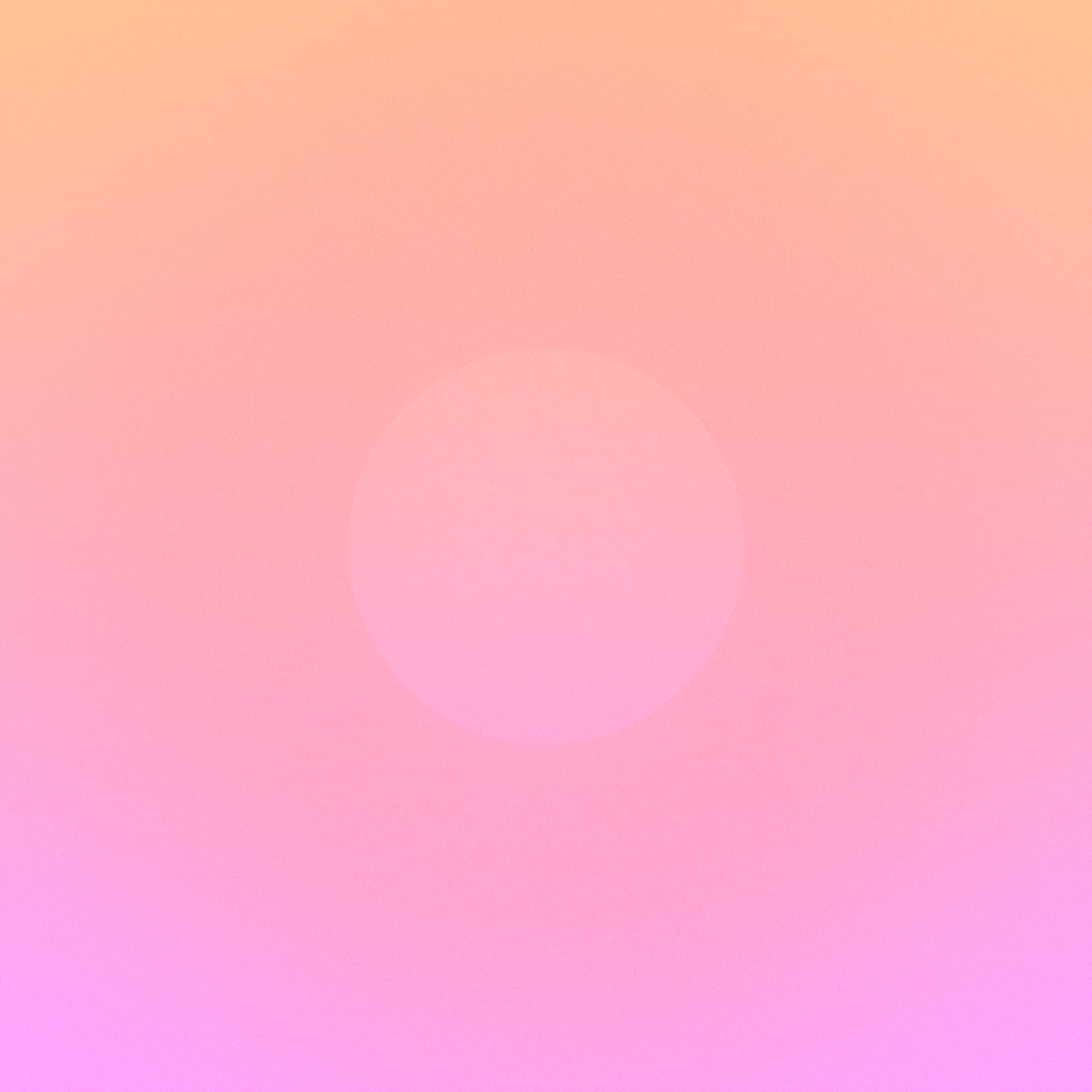 with the light 33