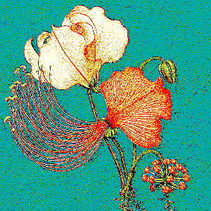 Video Box : Blooming Resonance