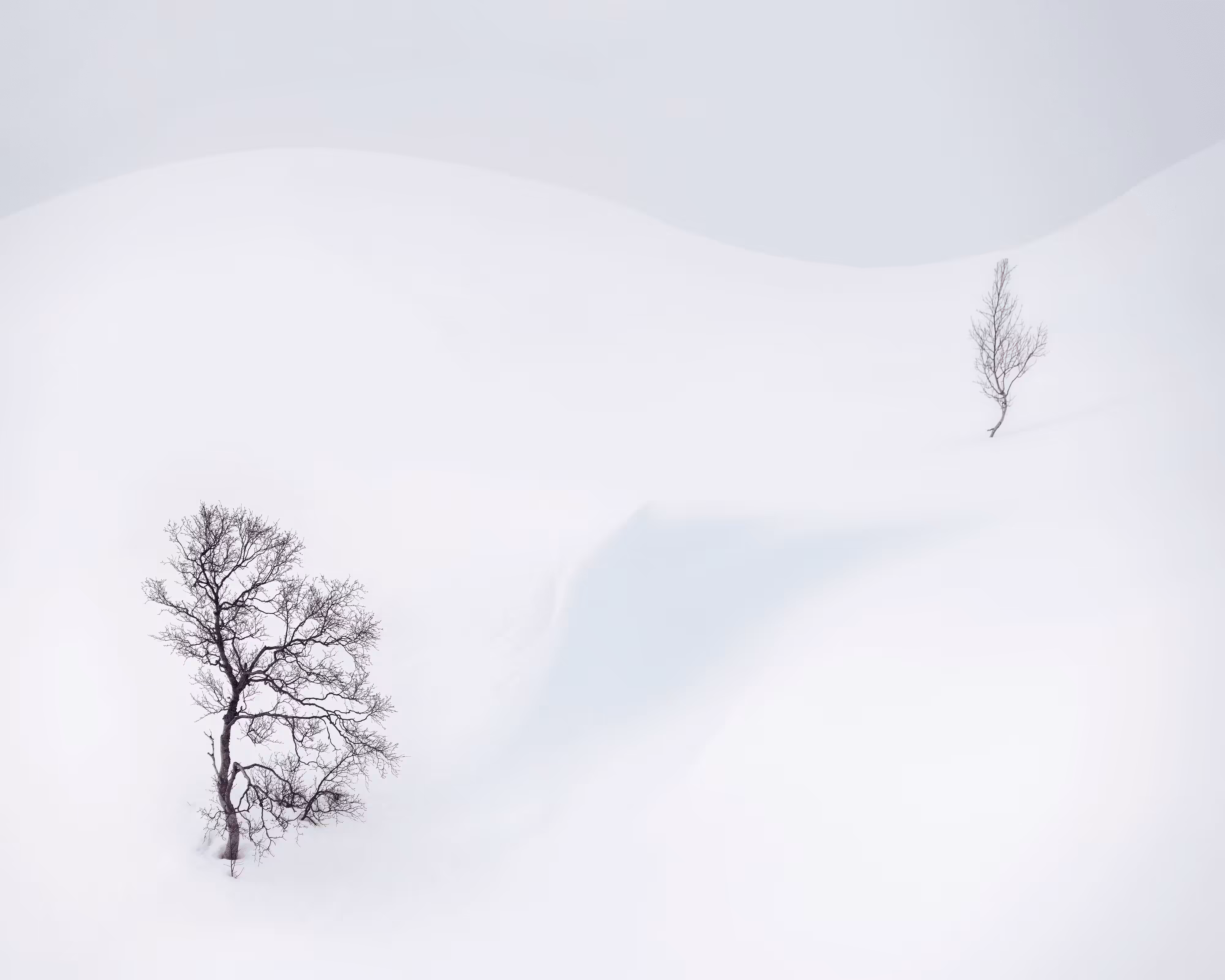 Brothers