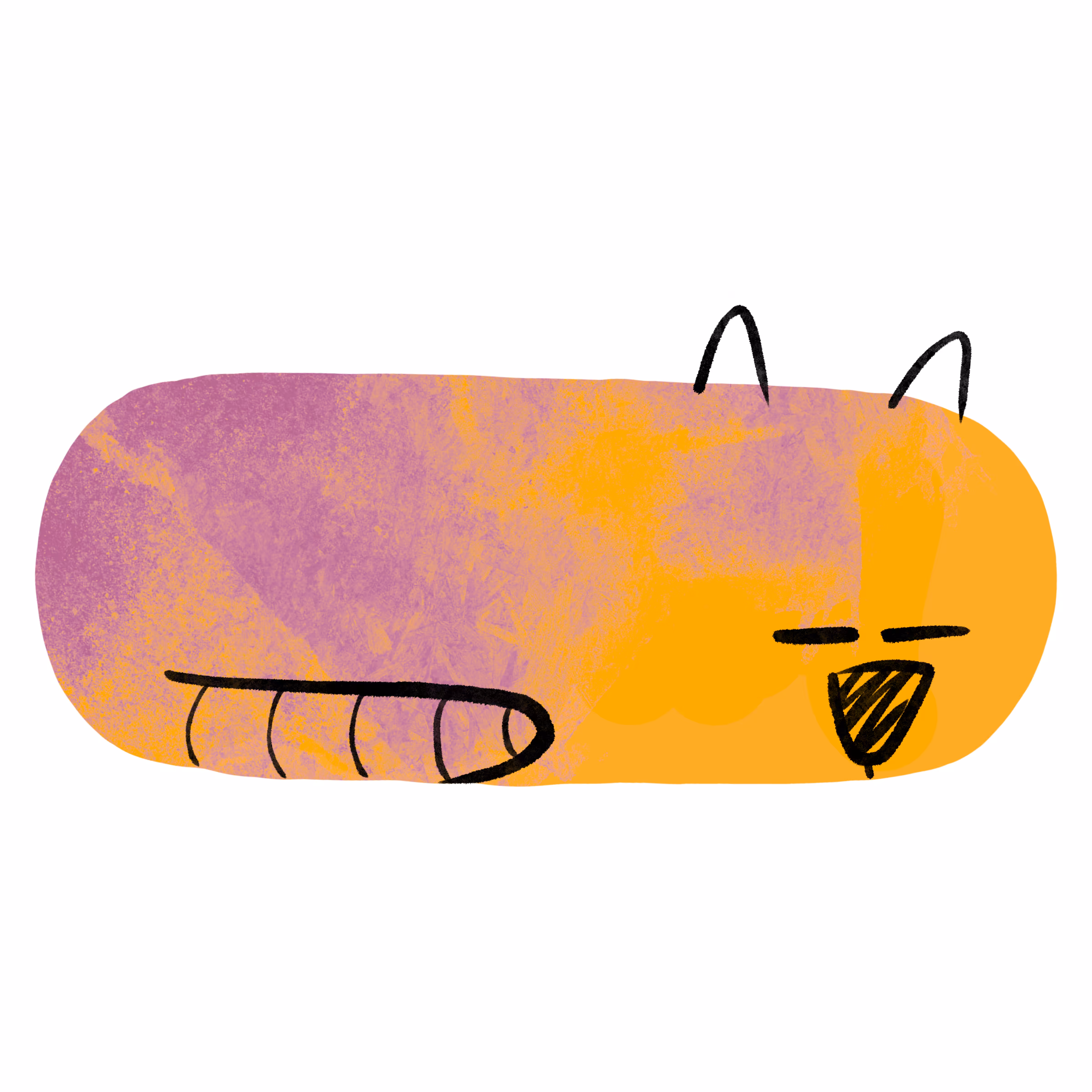 Just a Cat!!