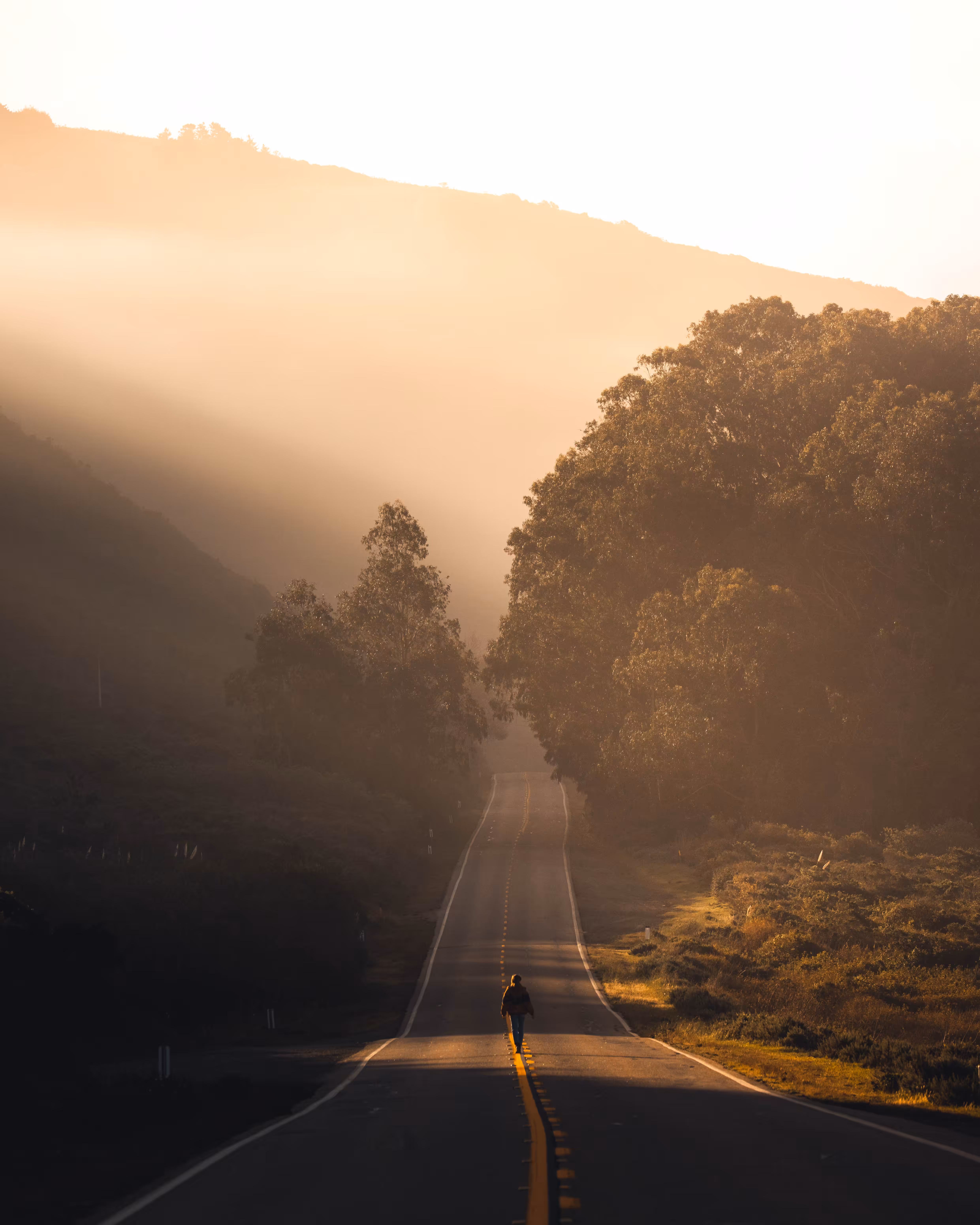 Morning rays