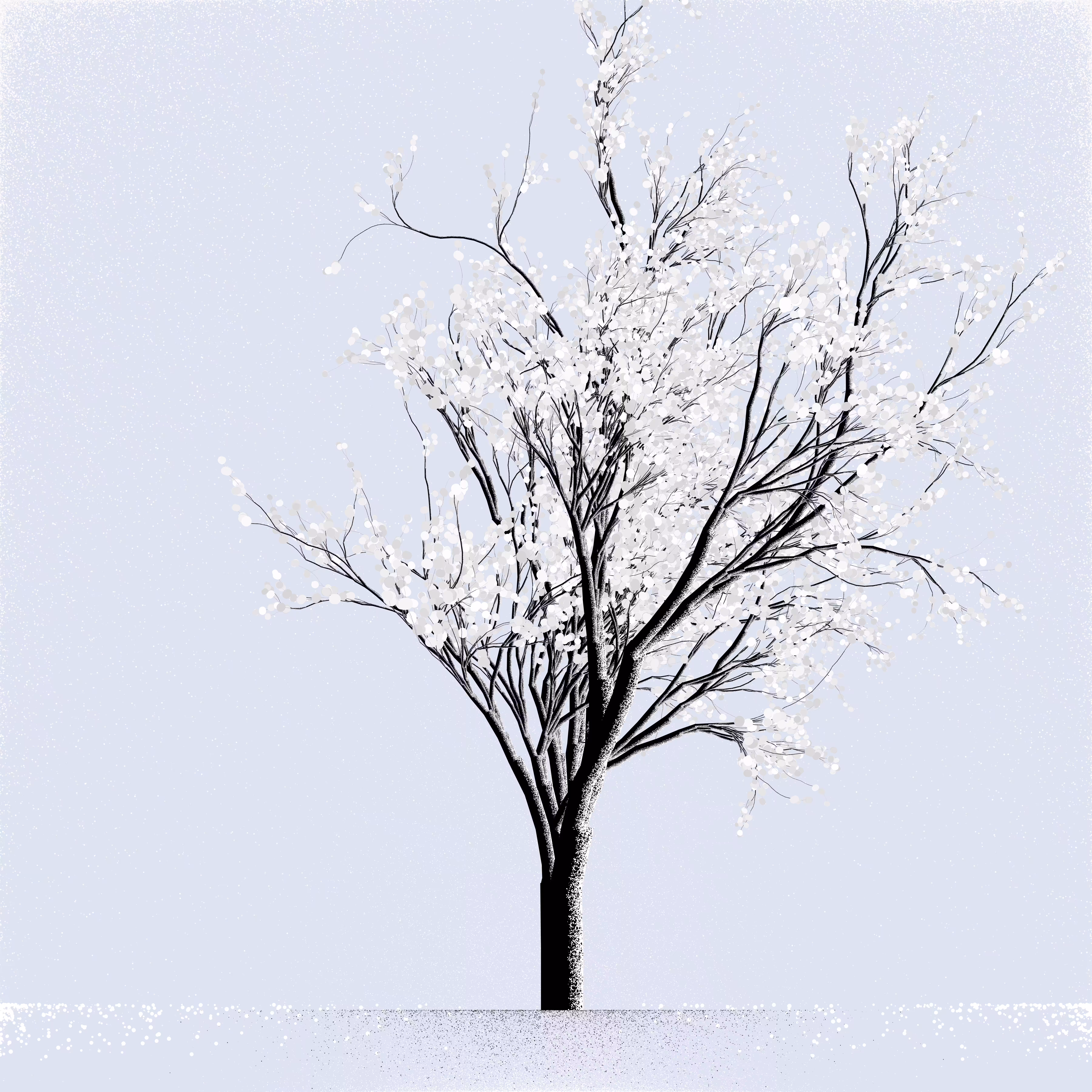 Snow Tree #24