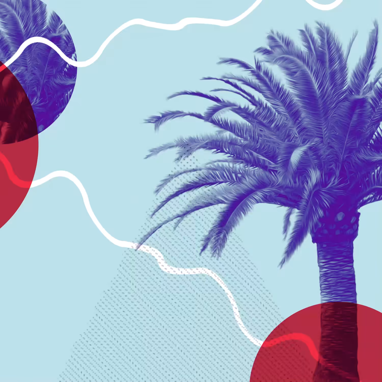 [002] Arecaceae