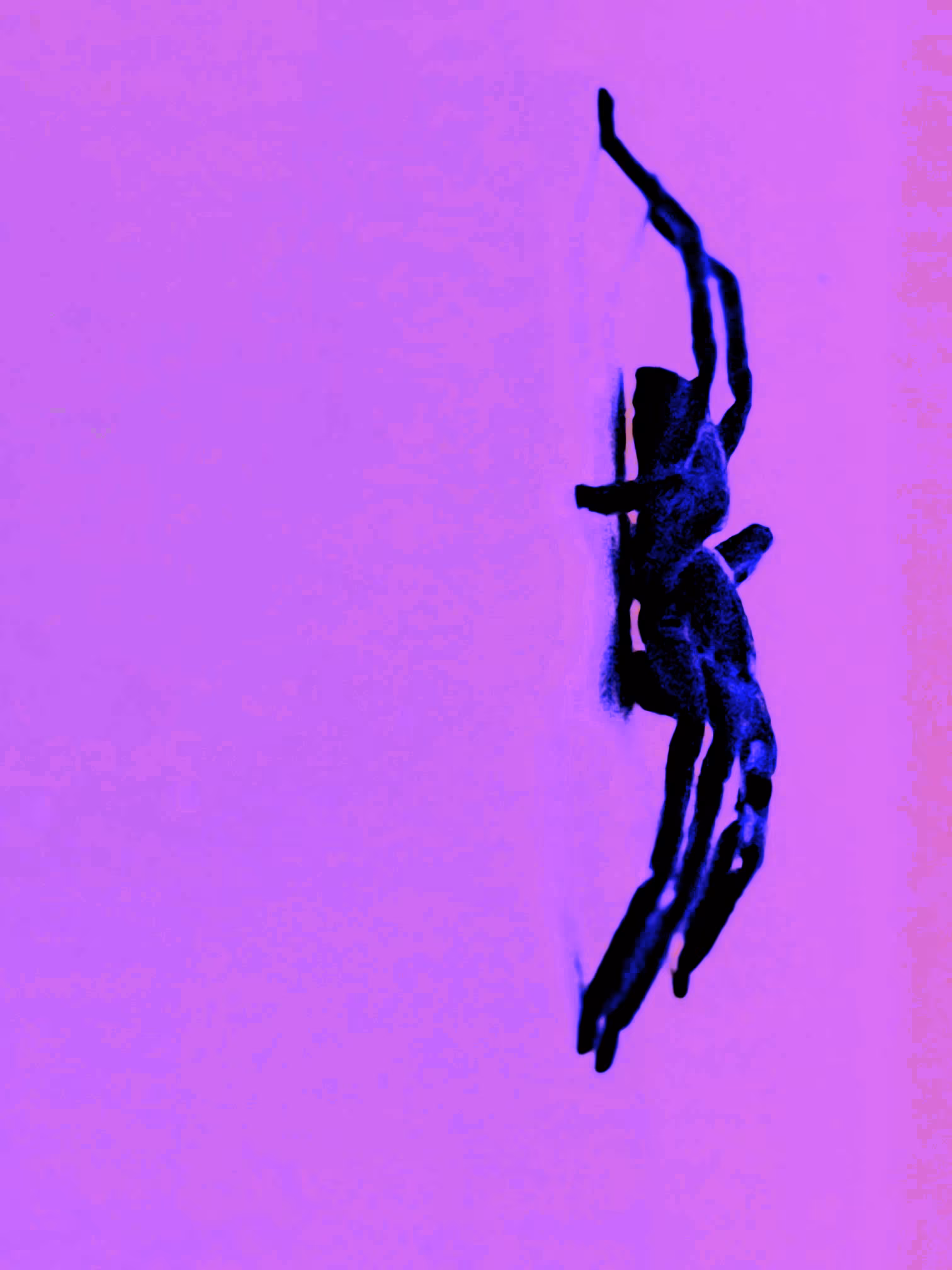 Perched