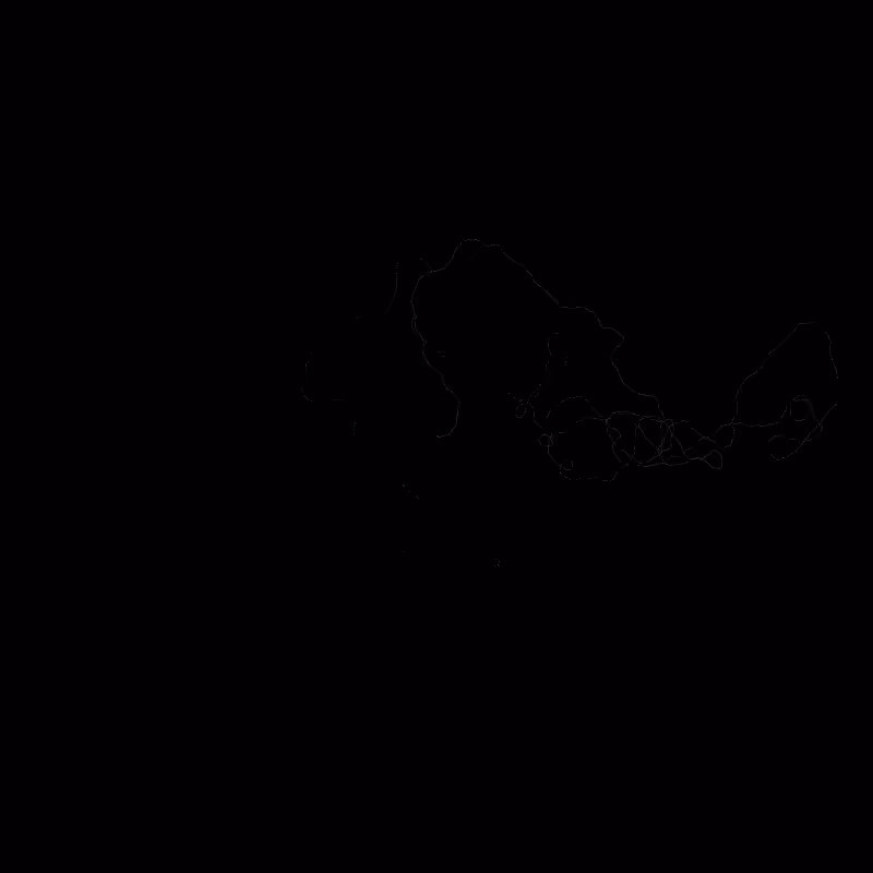 Coronavirus Genome Sequence #14