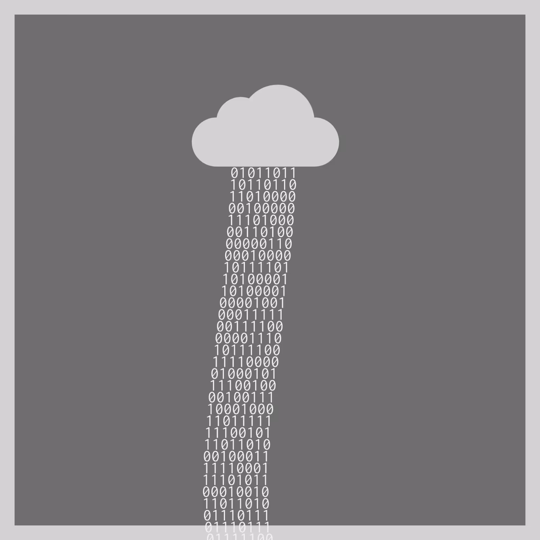 bit rain #81
