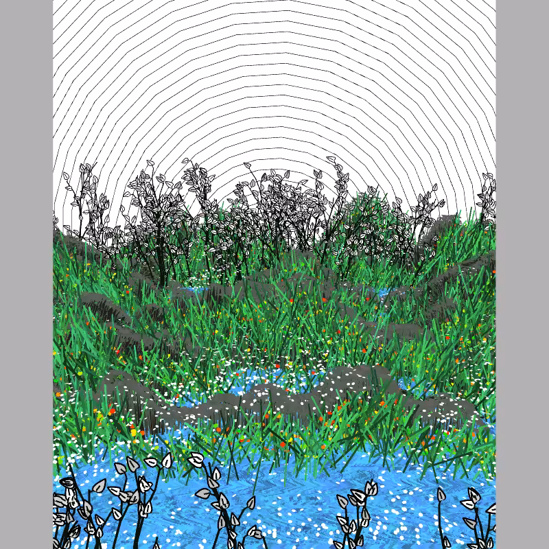 Contours #78