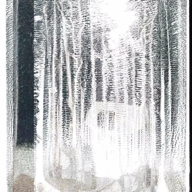 The Hum of Cyber Forest #176