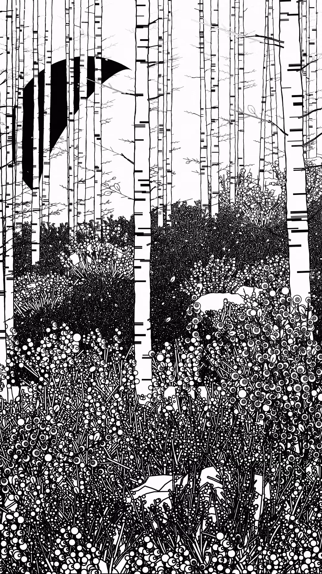 Swedish Forest #155