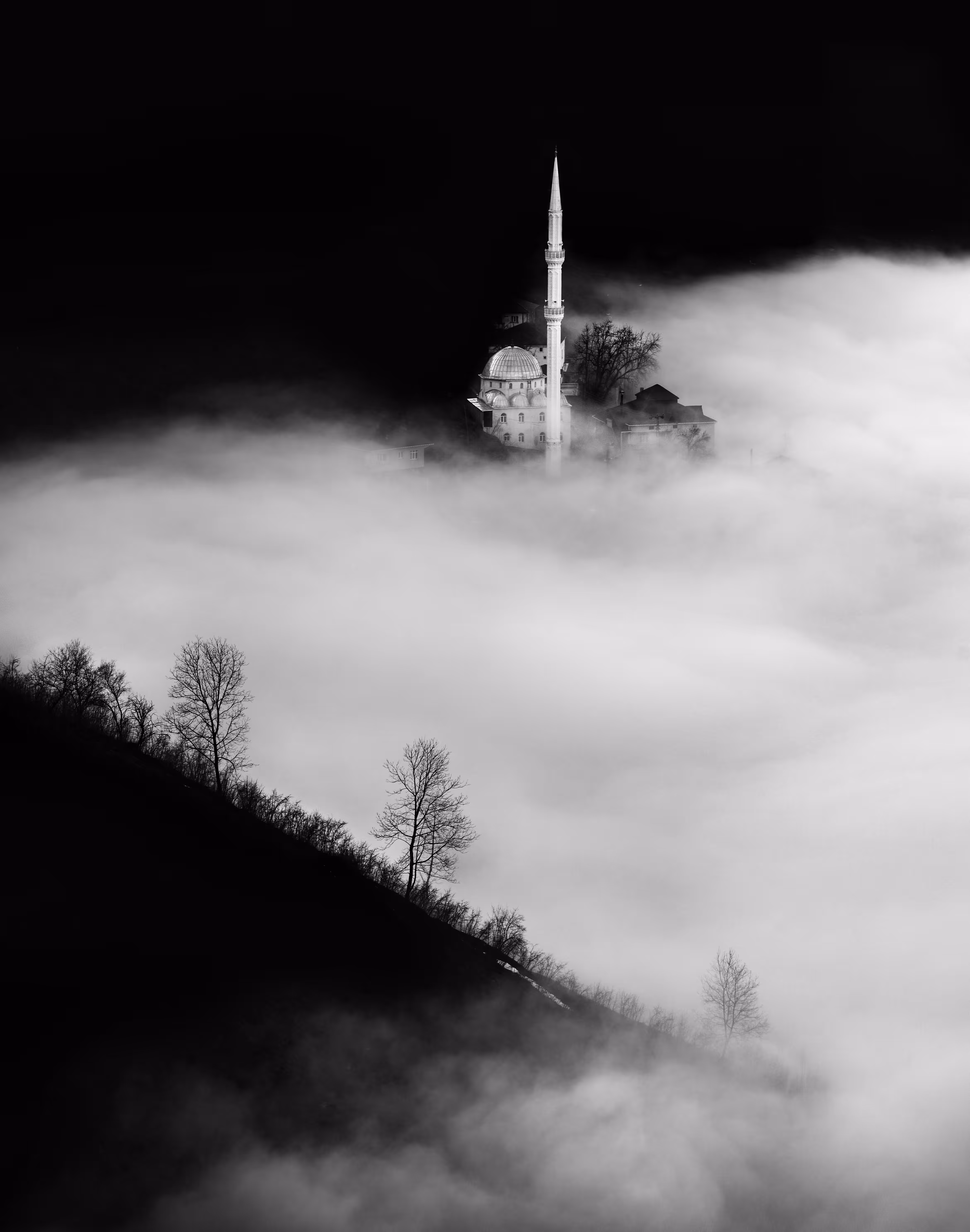Foggy Lives