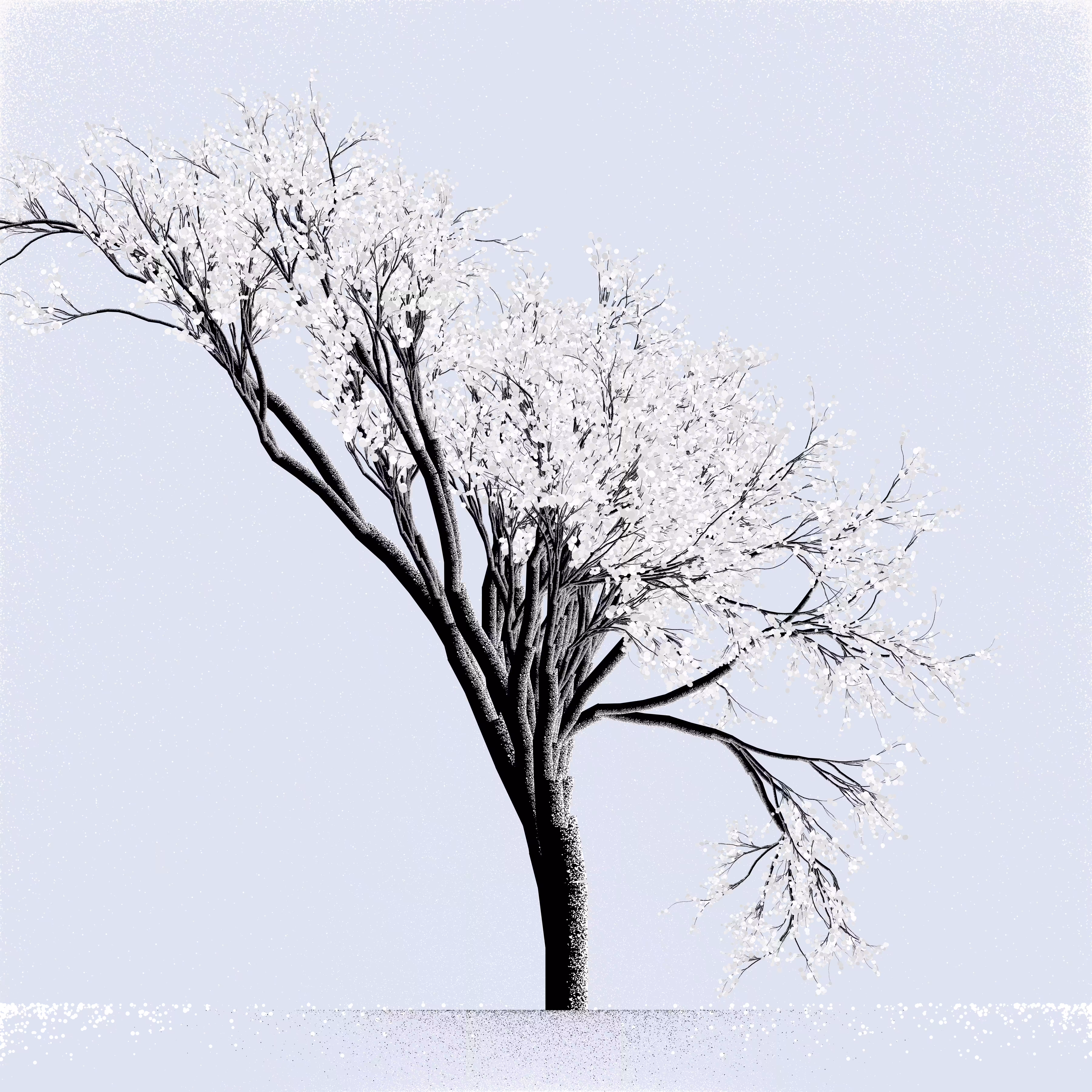 Snow Tree #16