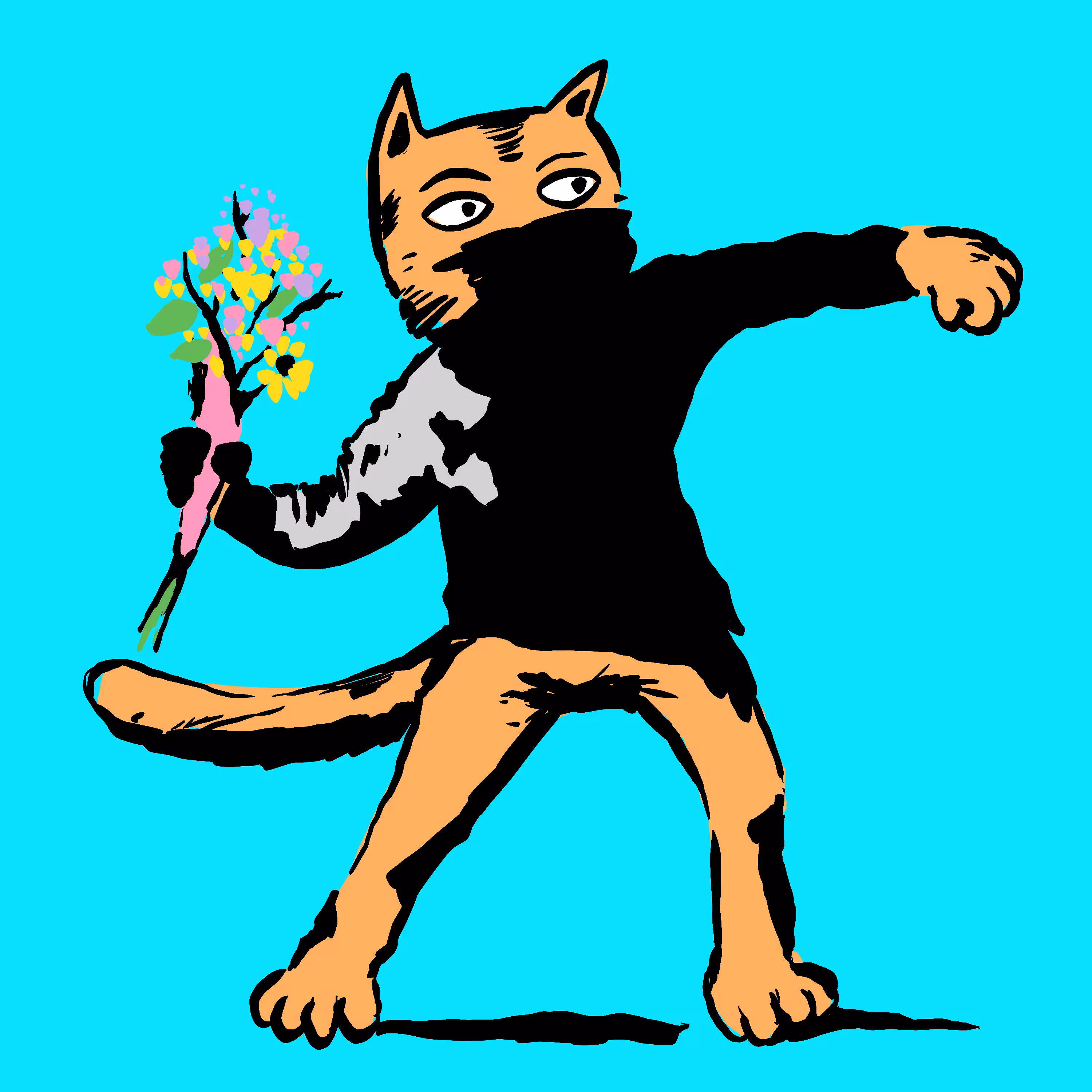 Cat Throw 01