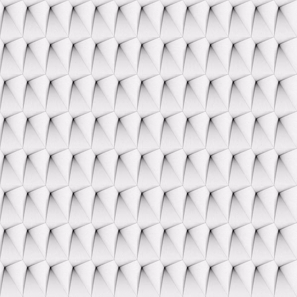 Noir et Blanc #31