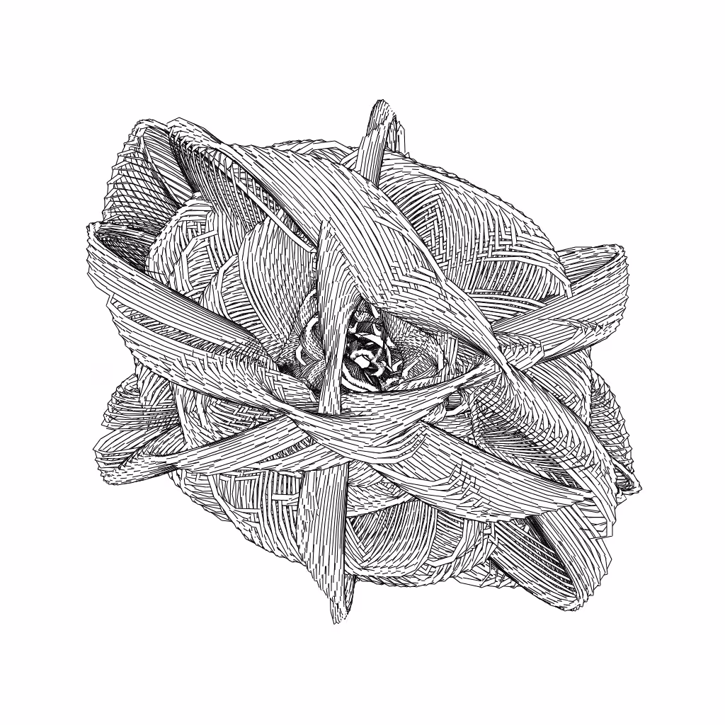 LL21 Entangled (3) #70