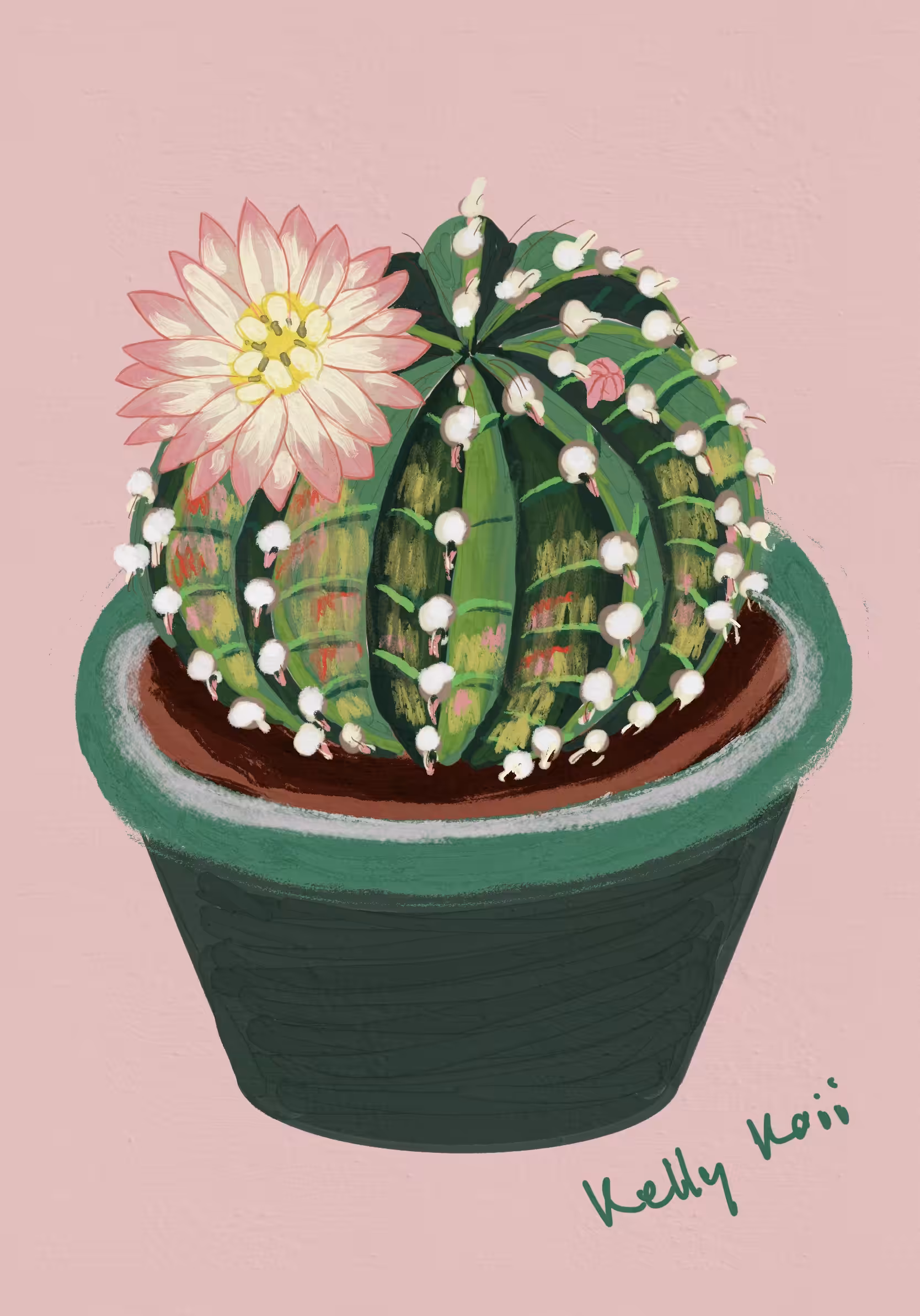 Lovely Cactus