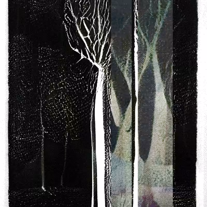 The Hum of Cyber Forest #189