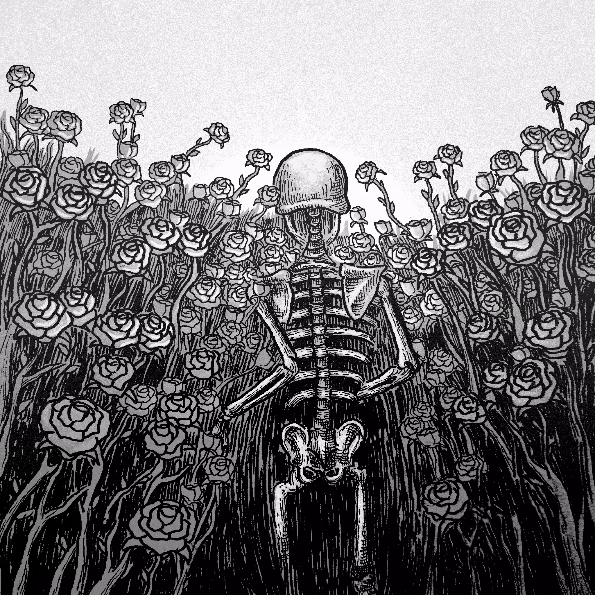 lost in a dream