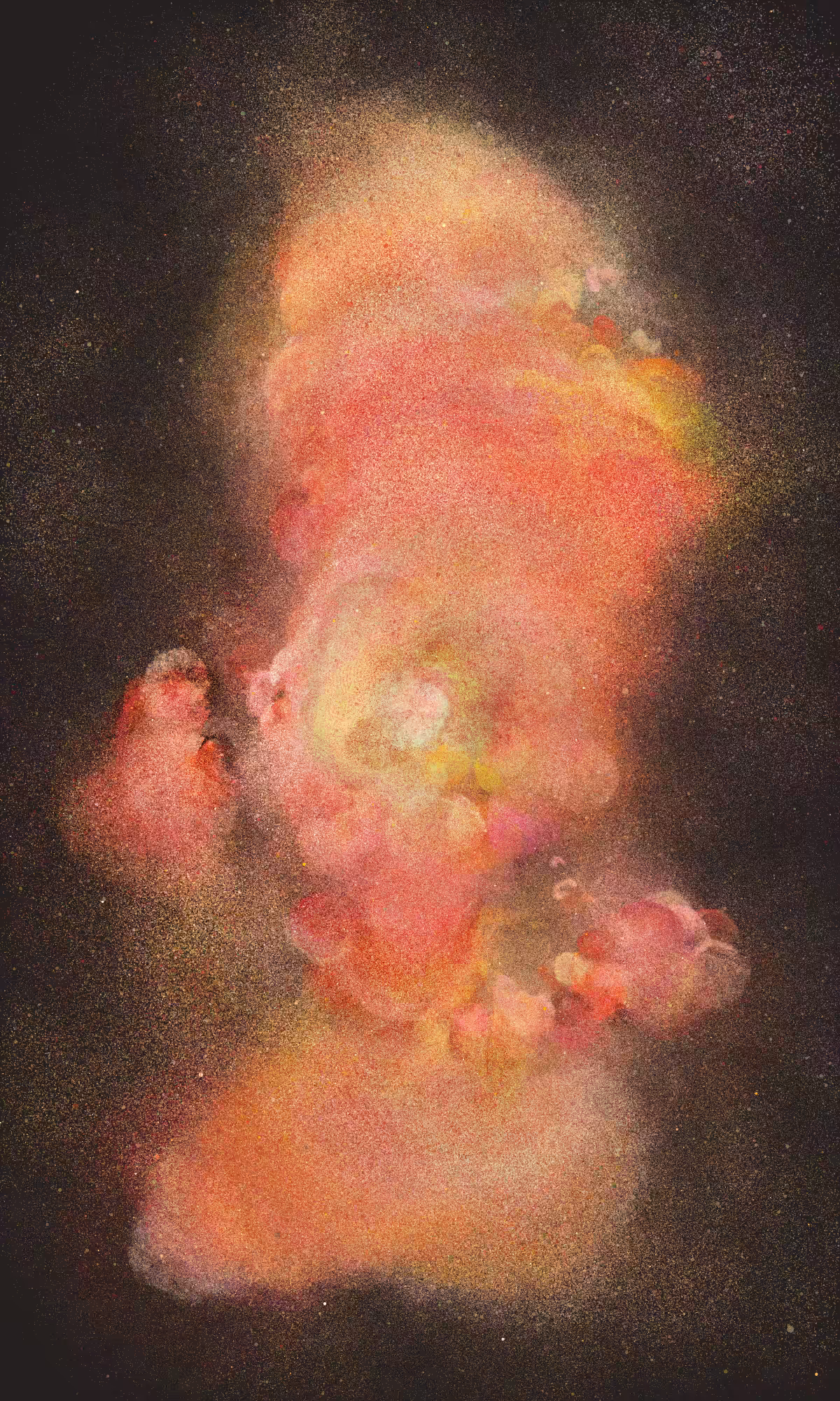 Newborn