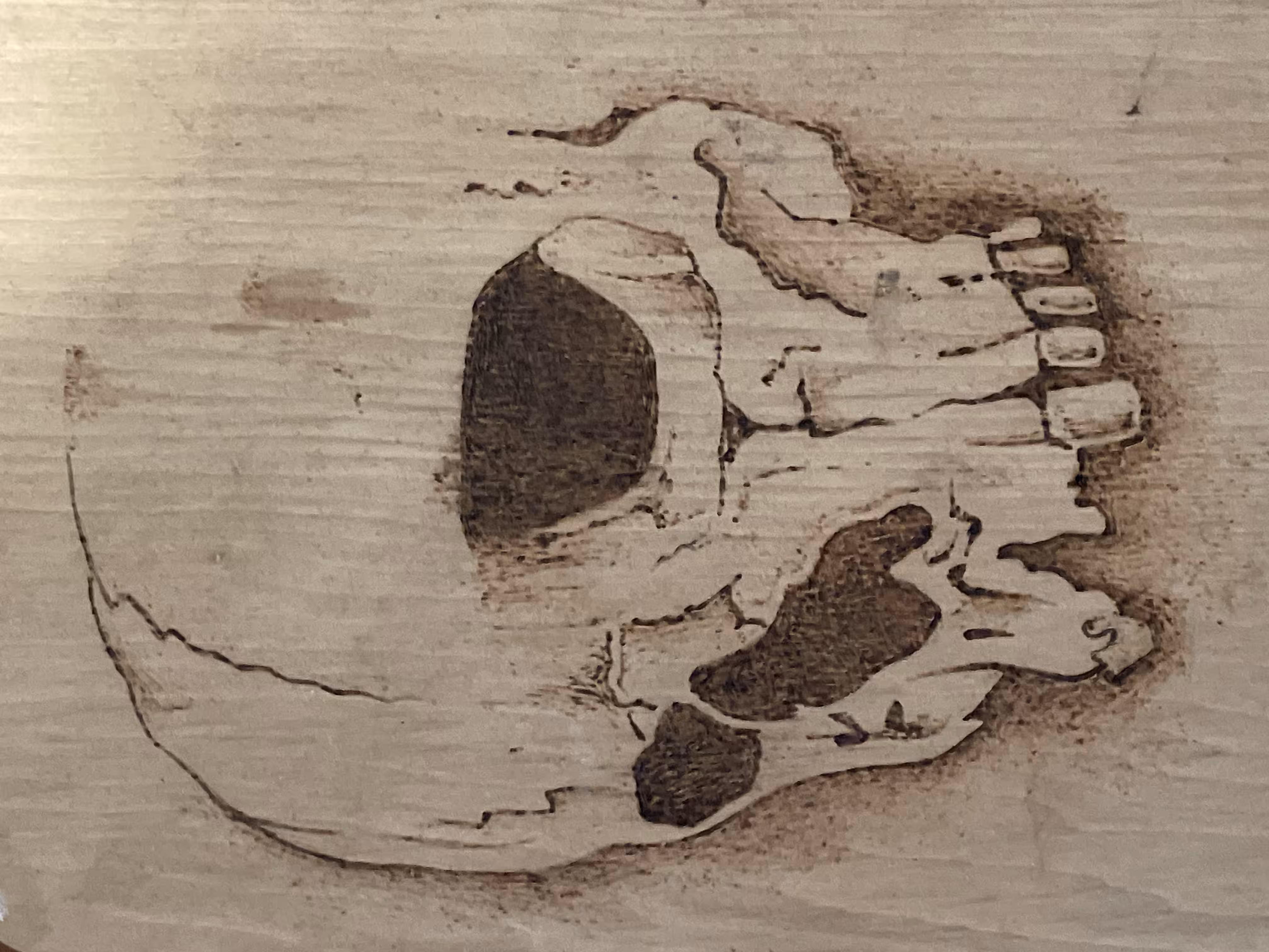 skeleton
