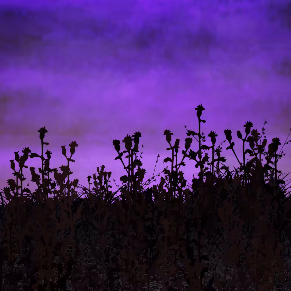 Walk in the field #9