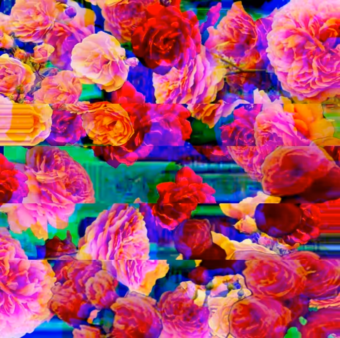 Rosey Mistake  #1