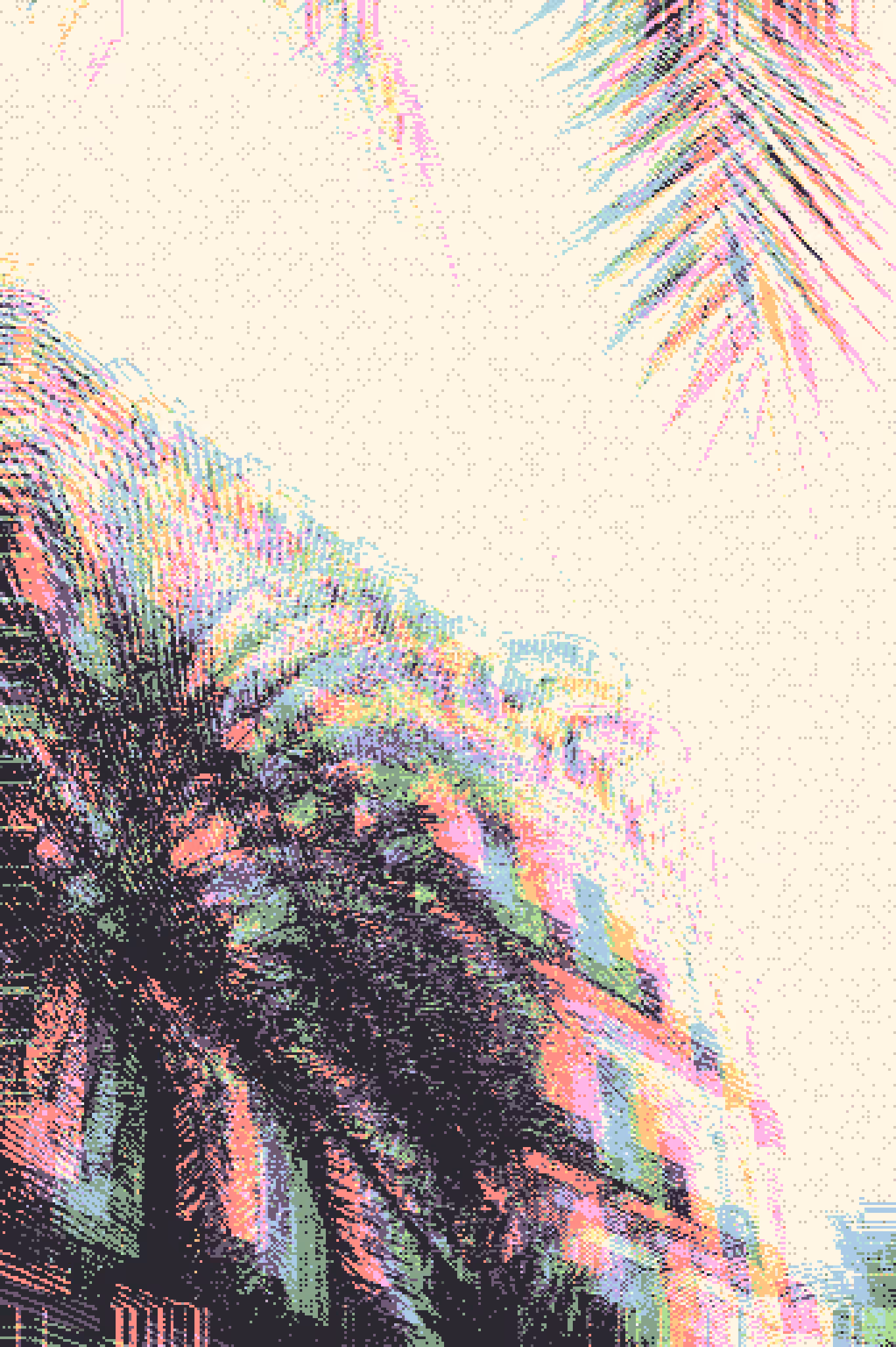 Palmera