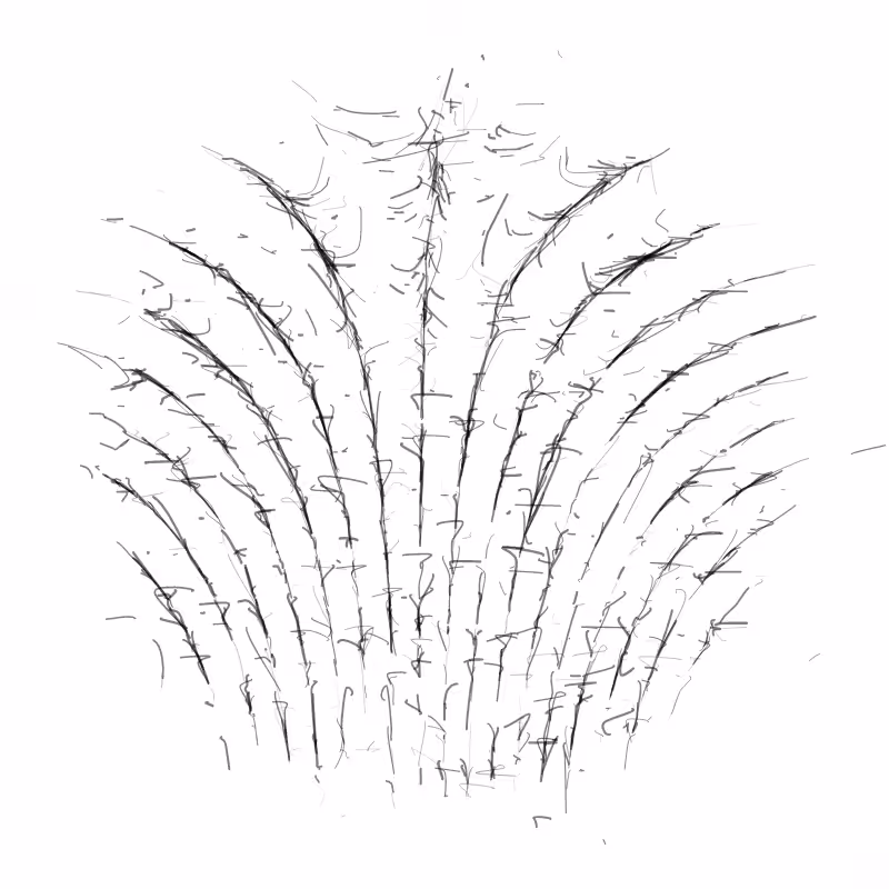 Magnetometer #12