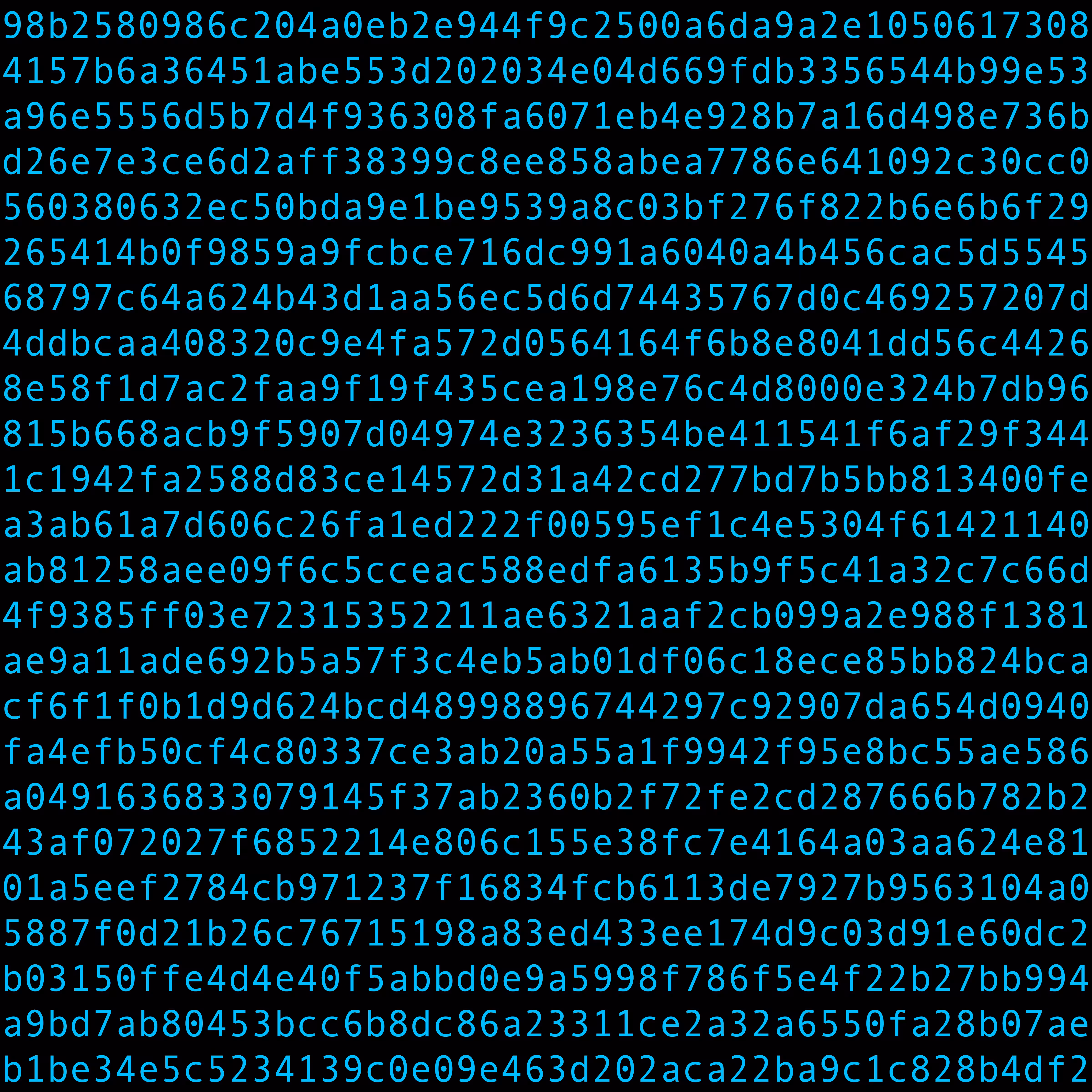 1111 #0299