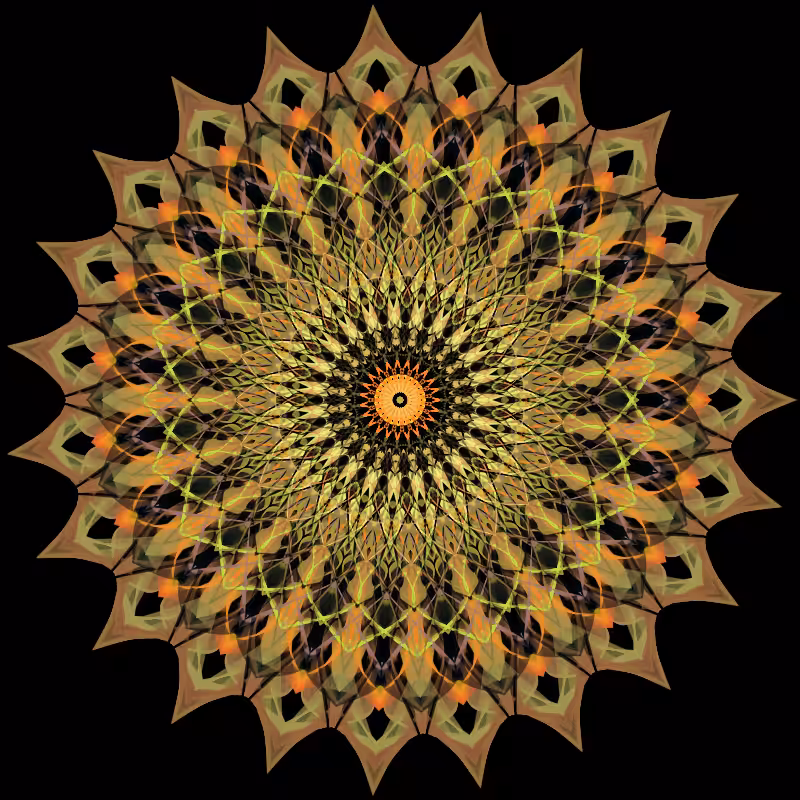 Morphing Mandala - #fxhashturnsone charity #7