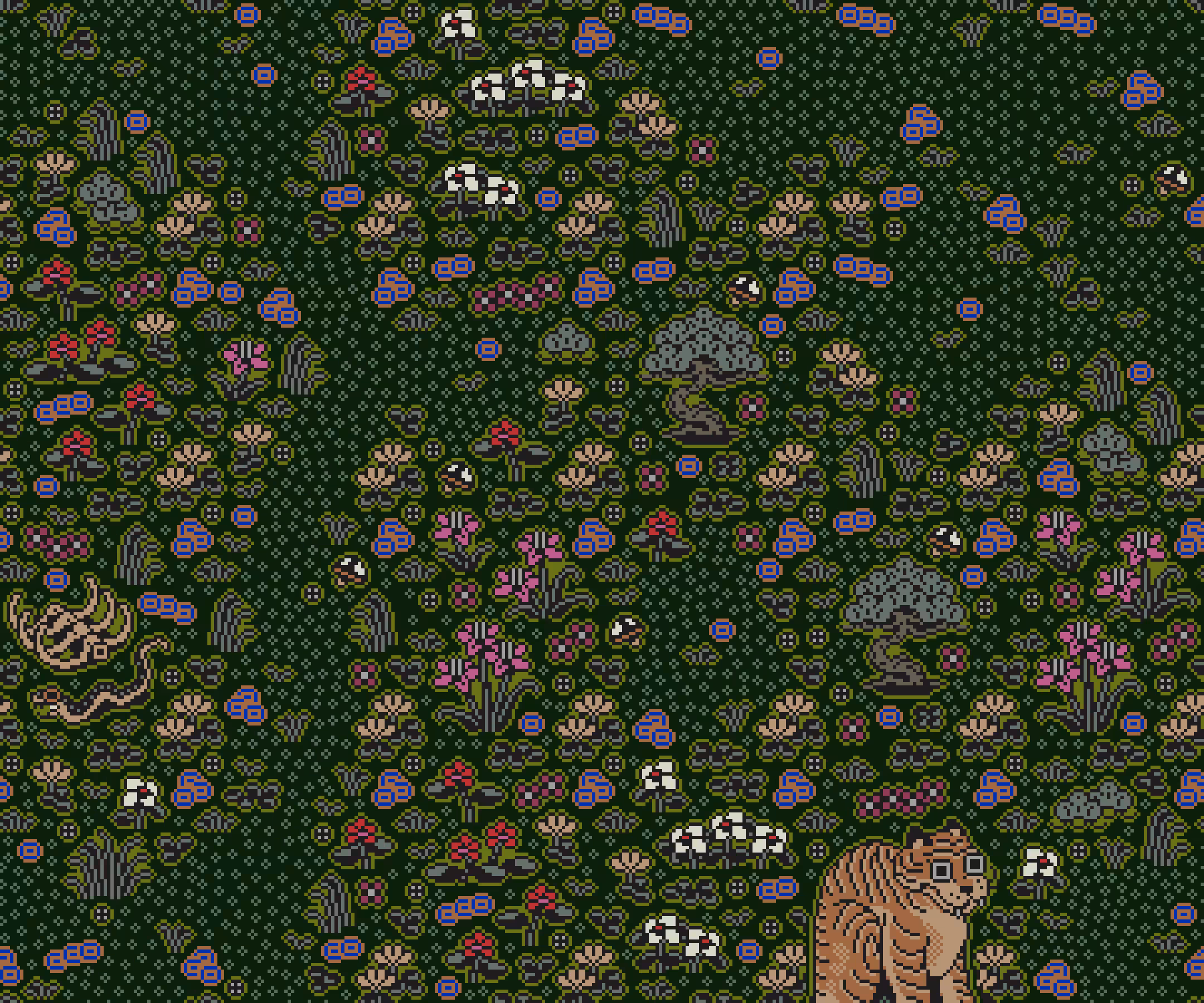 Tigerbob Mystery Garden #17