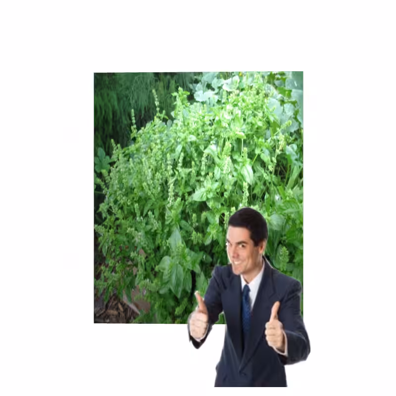 ART BASIL 2022 #76