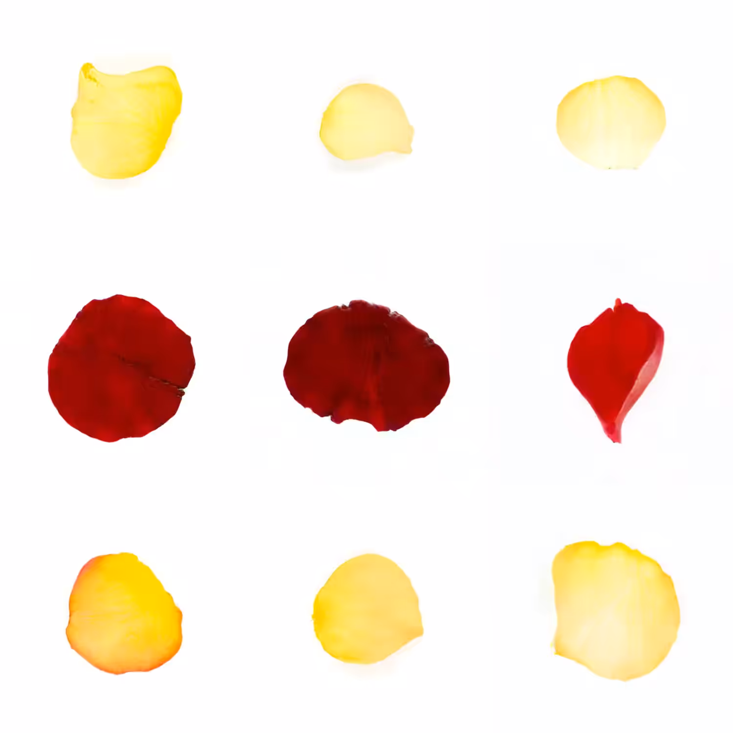 Infinite Petals 3x3#3136