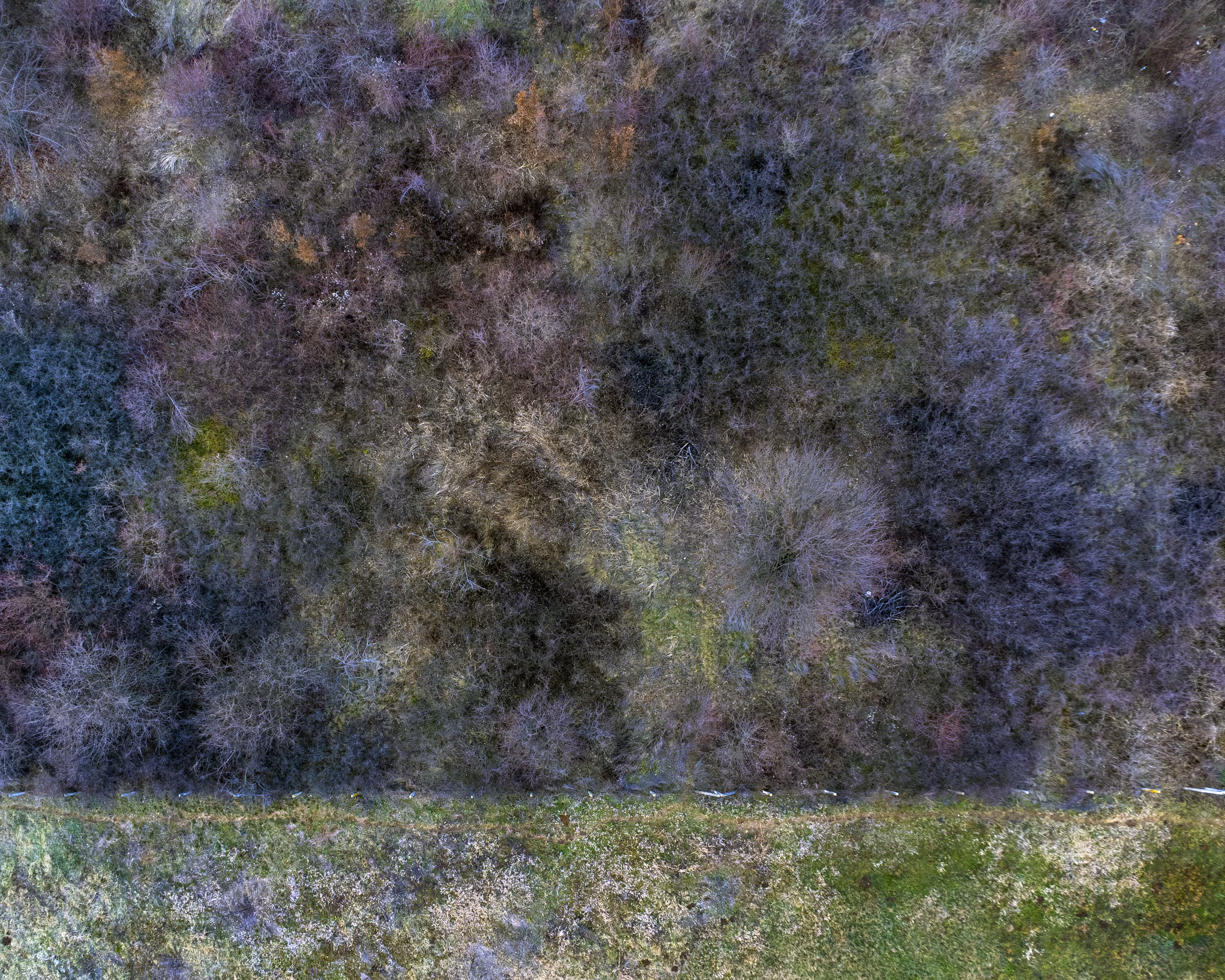 Earth Patterns: Synergy