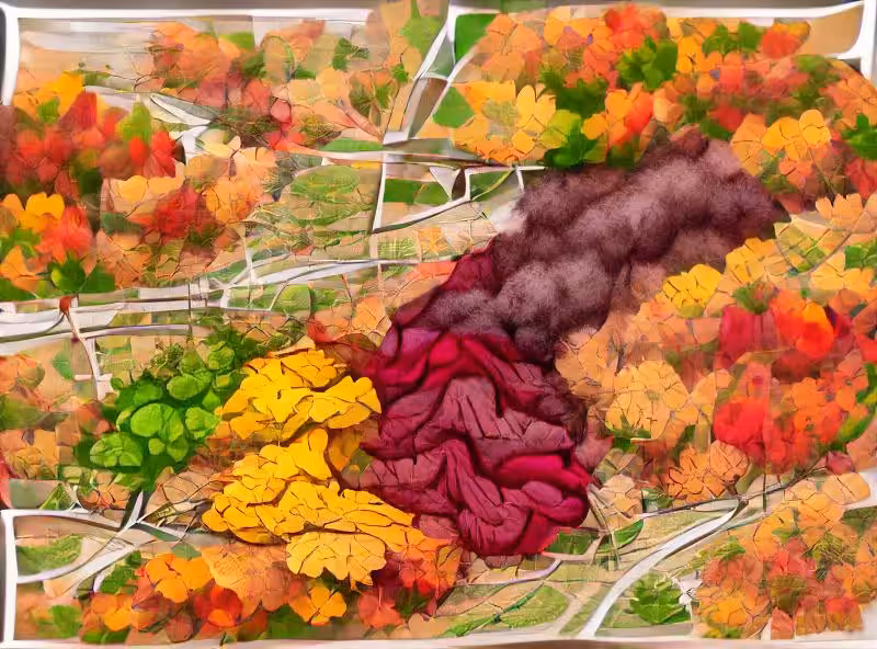 Abraham's First Works: Fall Colors