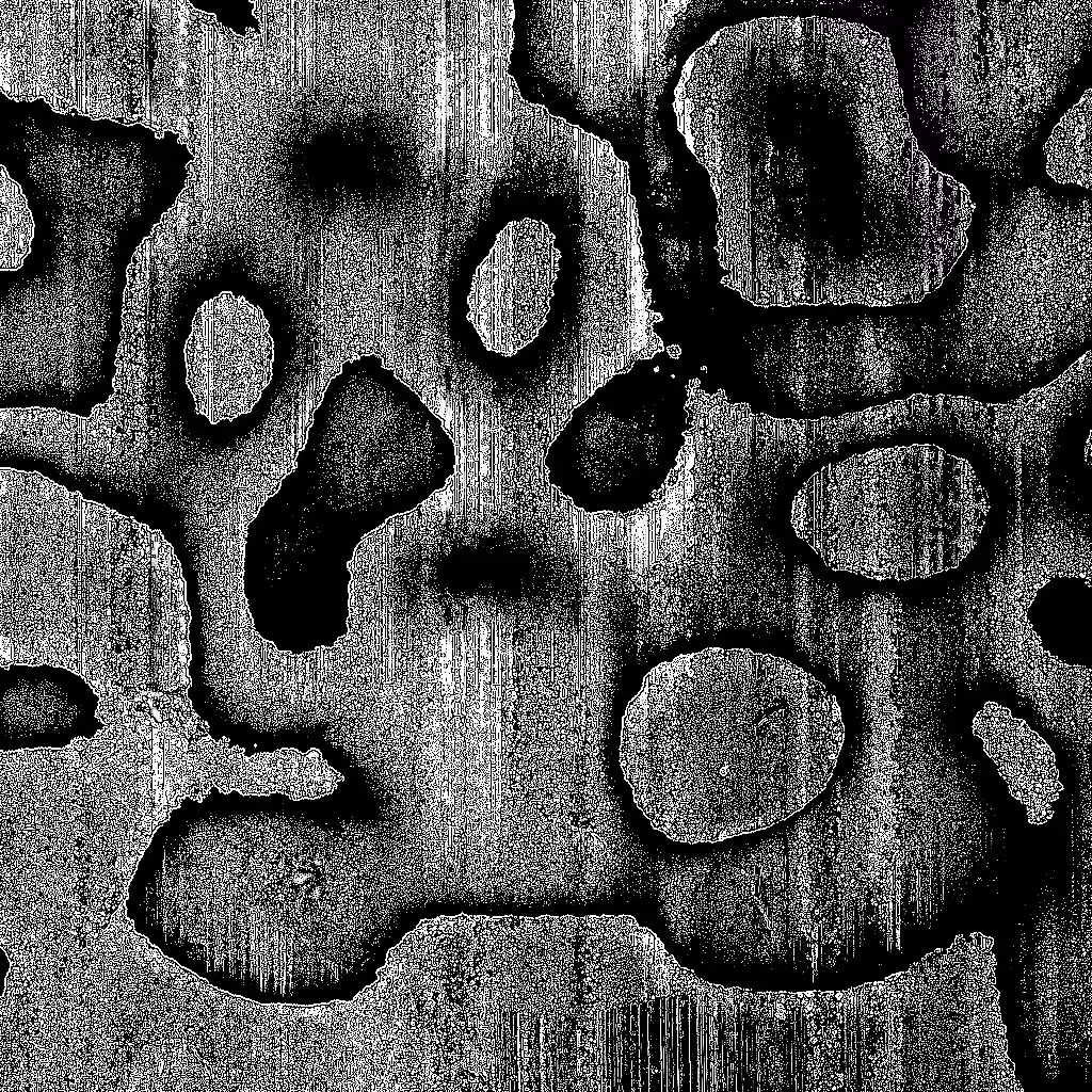 Noise #543 