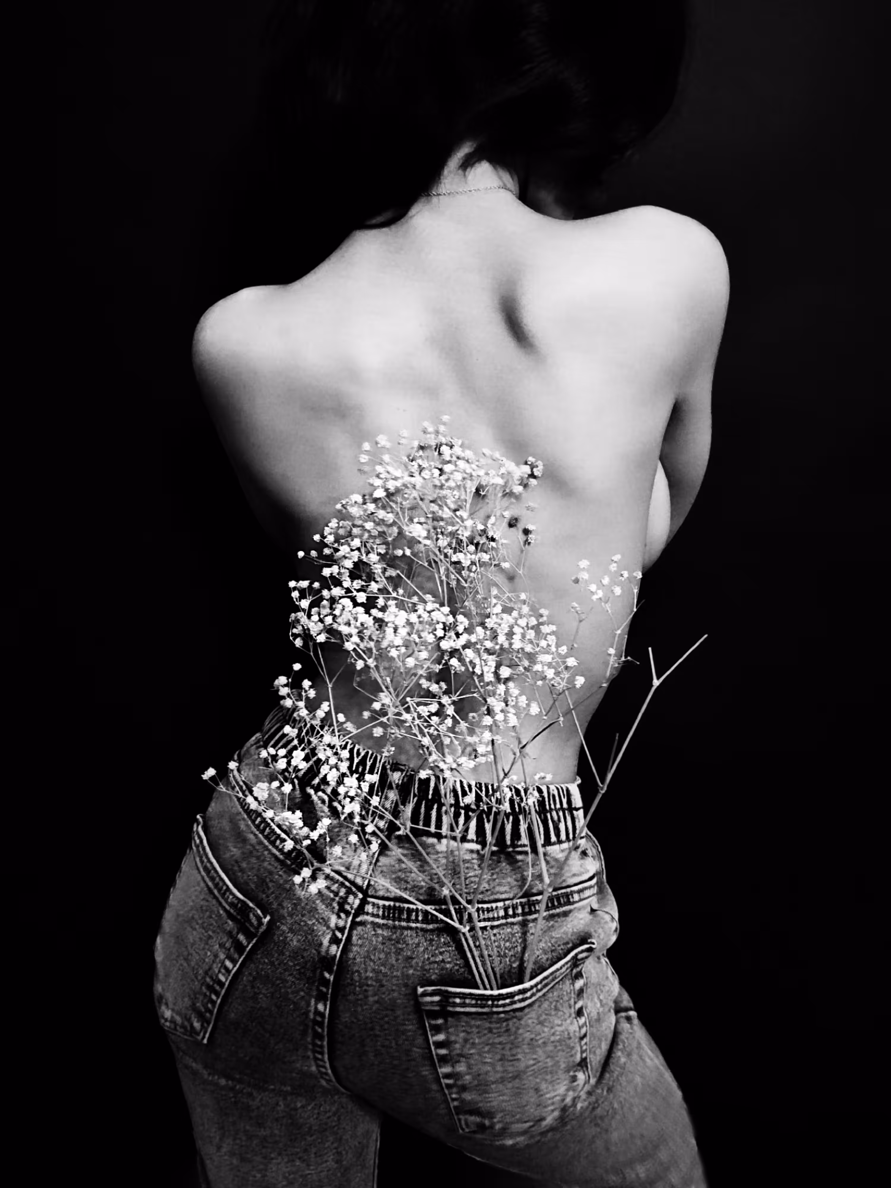 Gypsophila