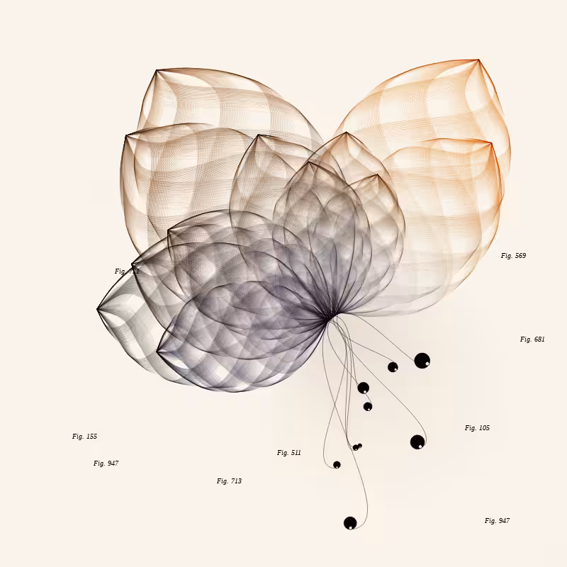 Herbarium #460