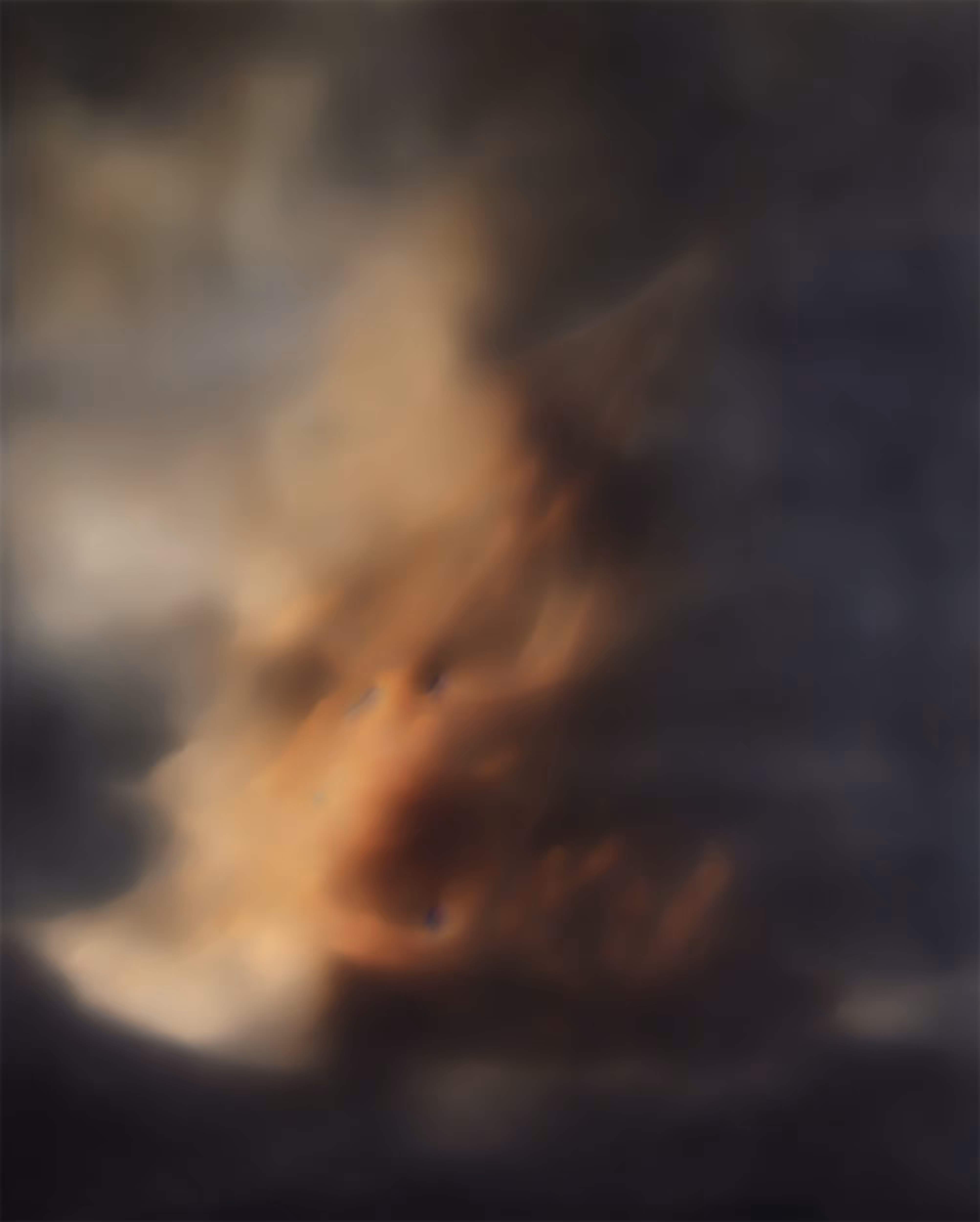 After Rembrandt (The Storm on the Sea of Galilee)