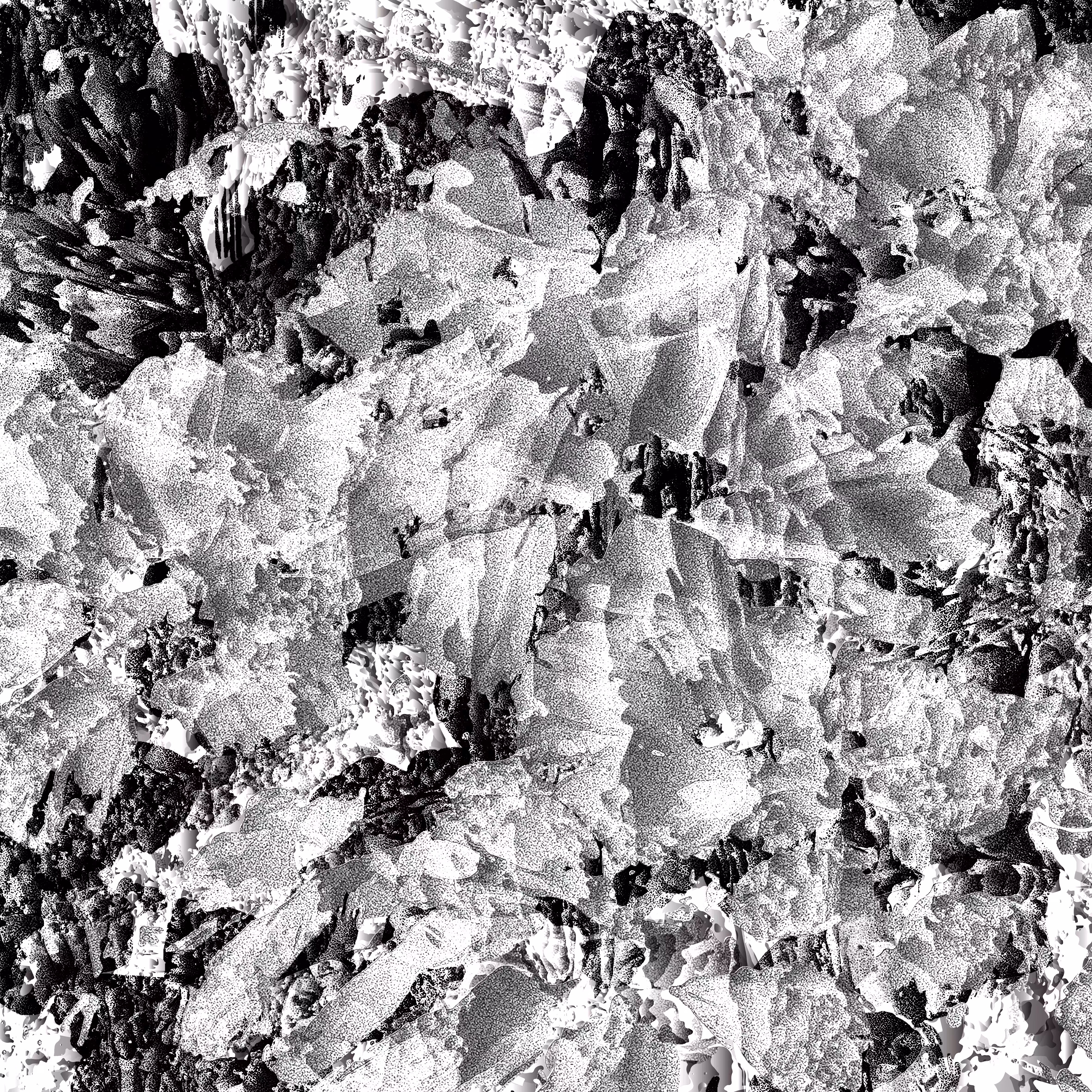 shadow #27