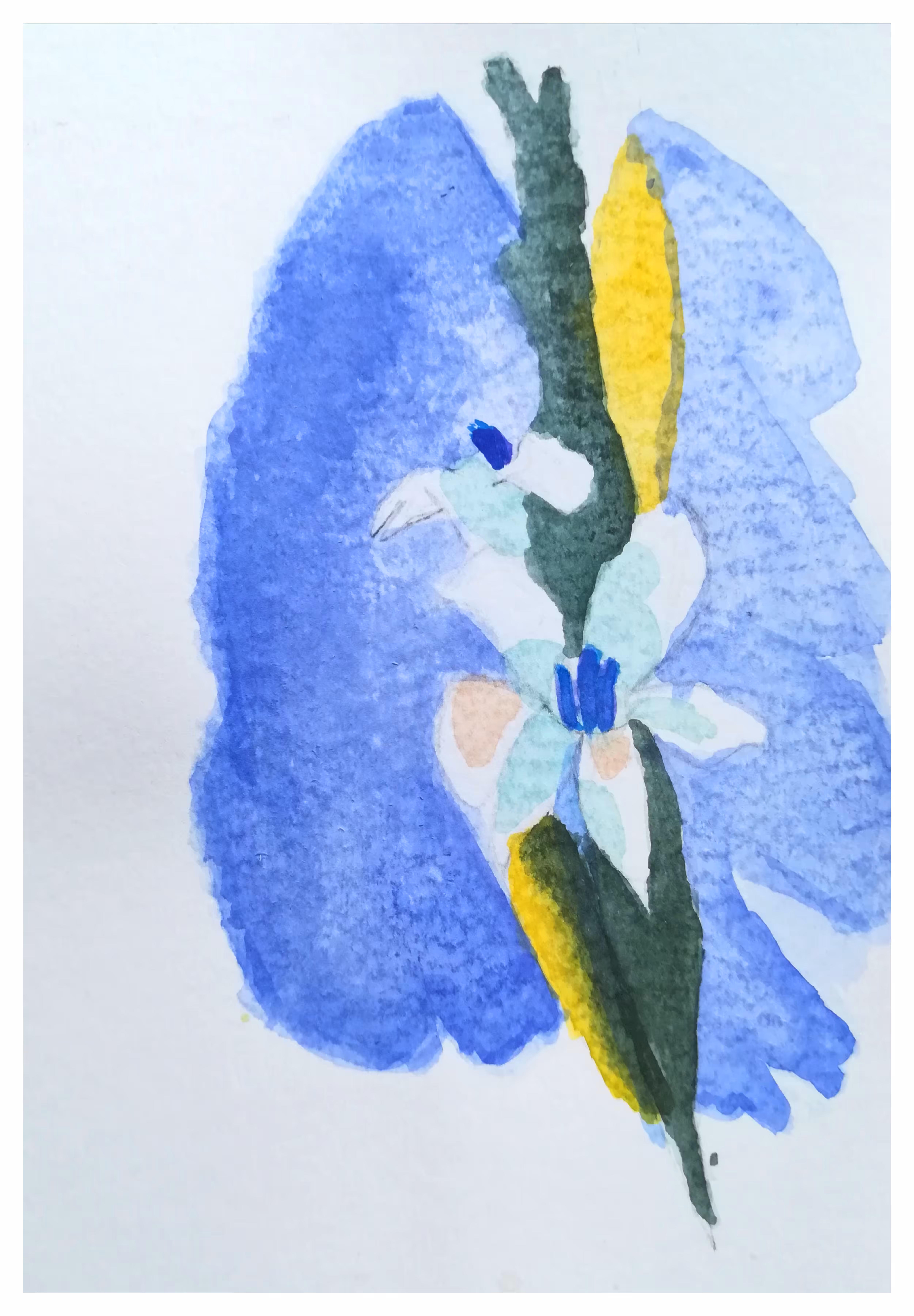 Persian Flower