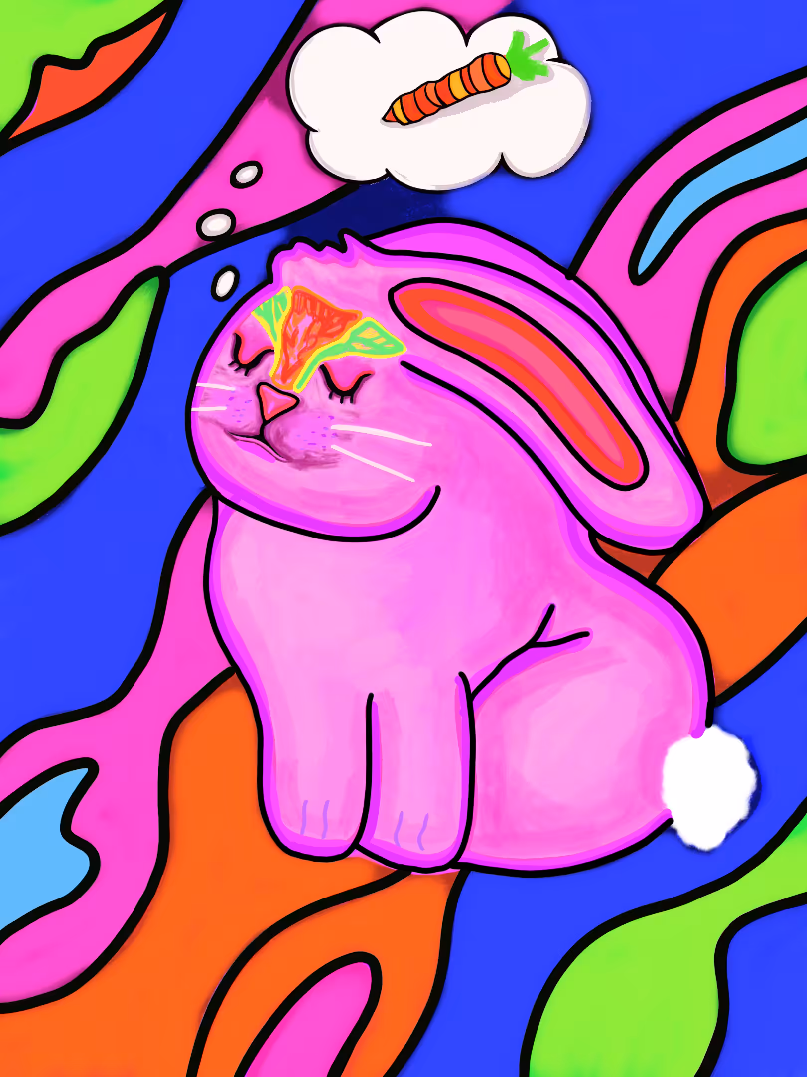 Rabbit