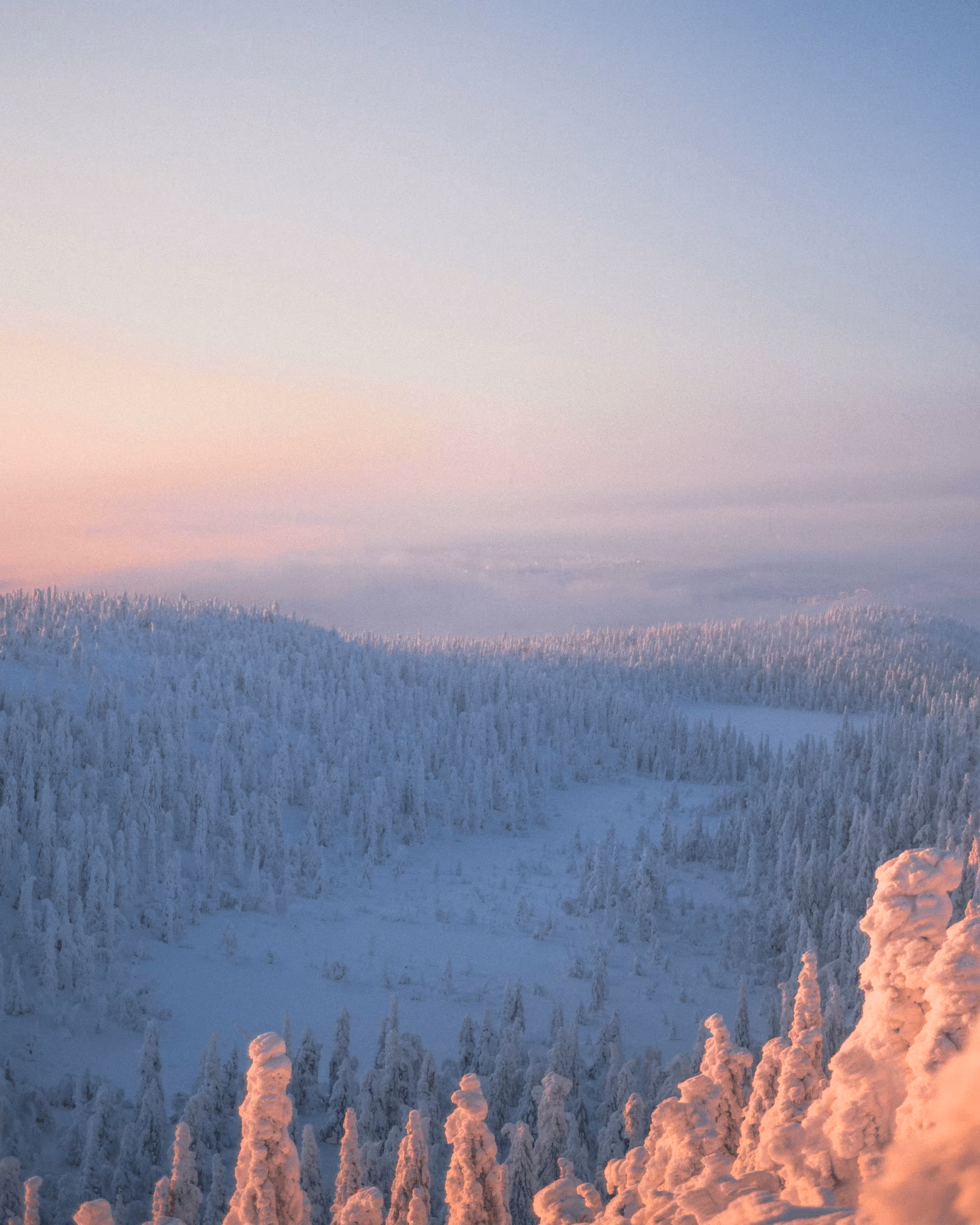 Endless Winter