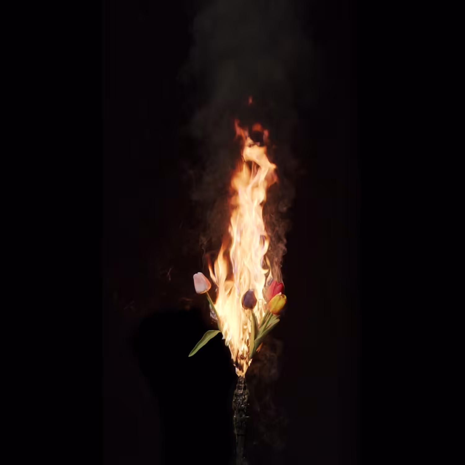 Burning Tulips